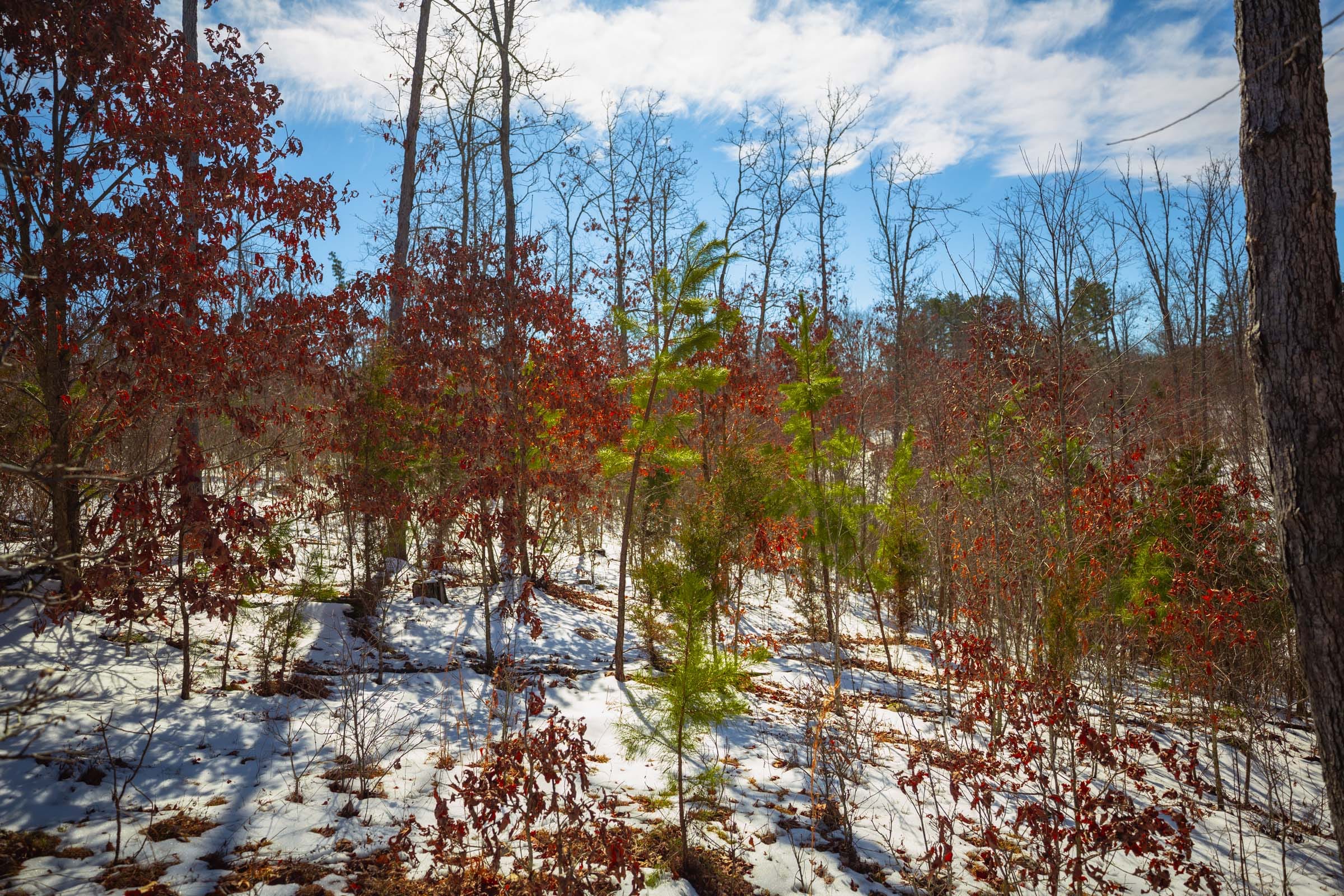 Sleepy Hollow Phase I Tract 59 photo 15
