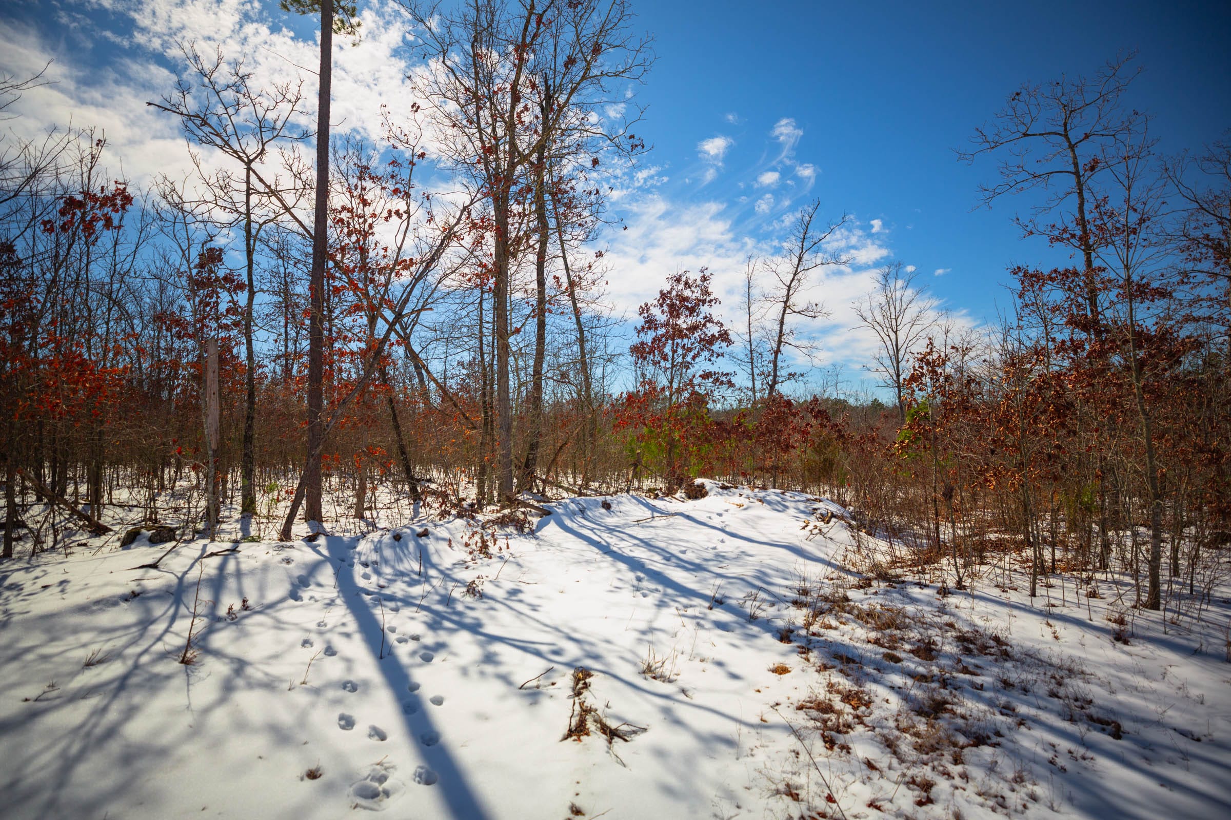 Sleepy Hollow Phase I Tract 59 photo 7