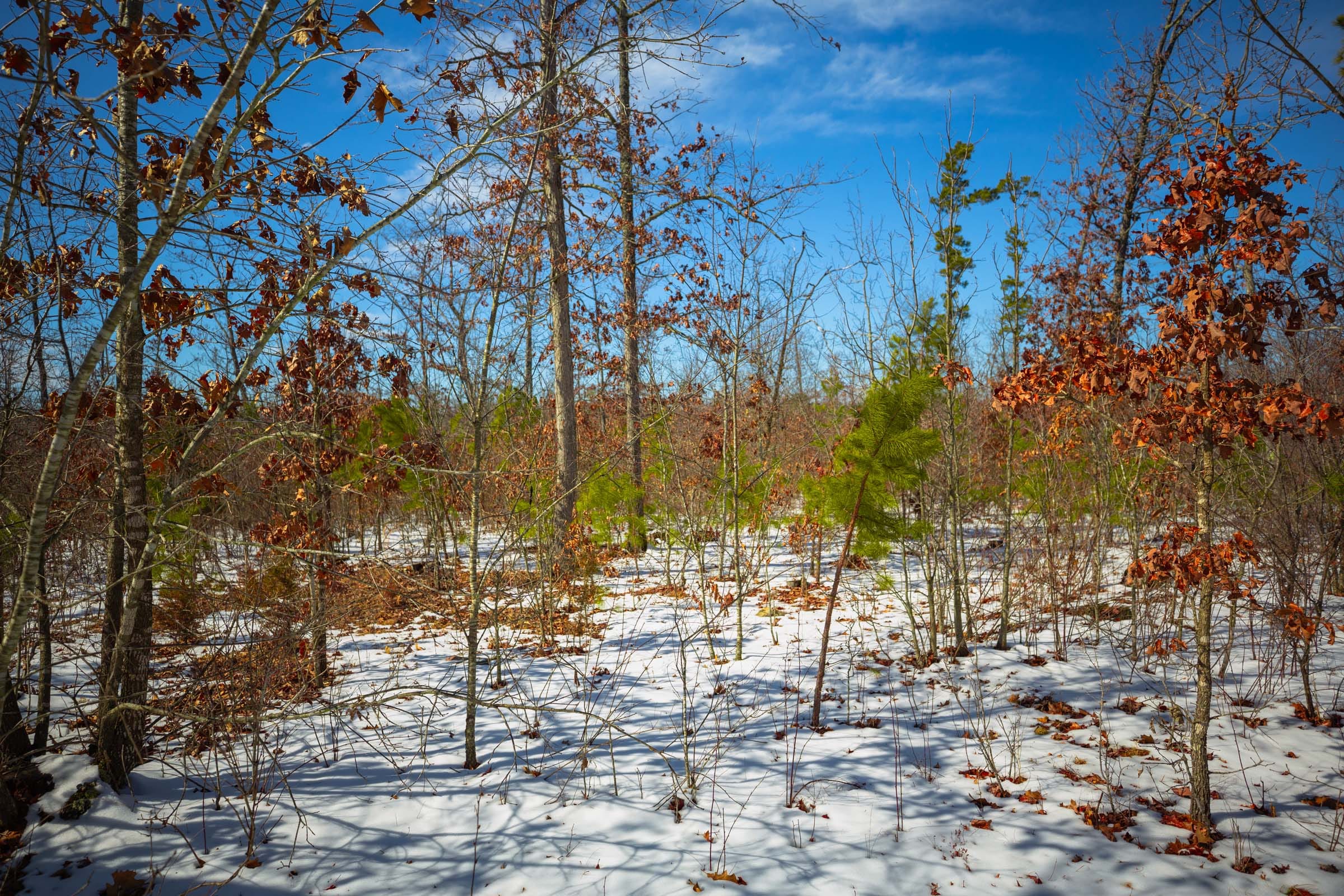 Sleepy Hollow Phase I Tract 59 photo 13