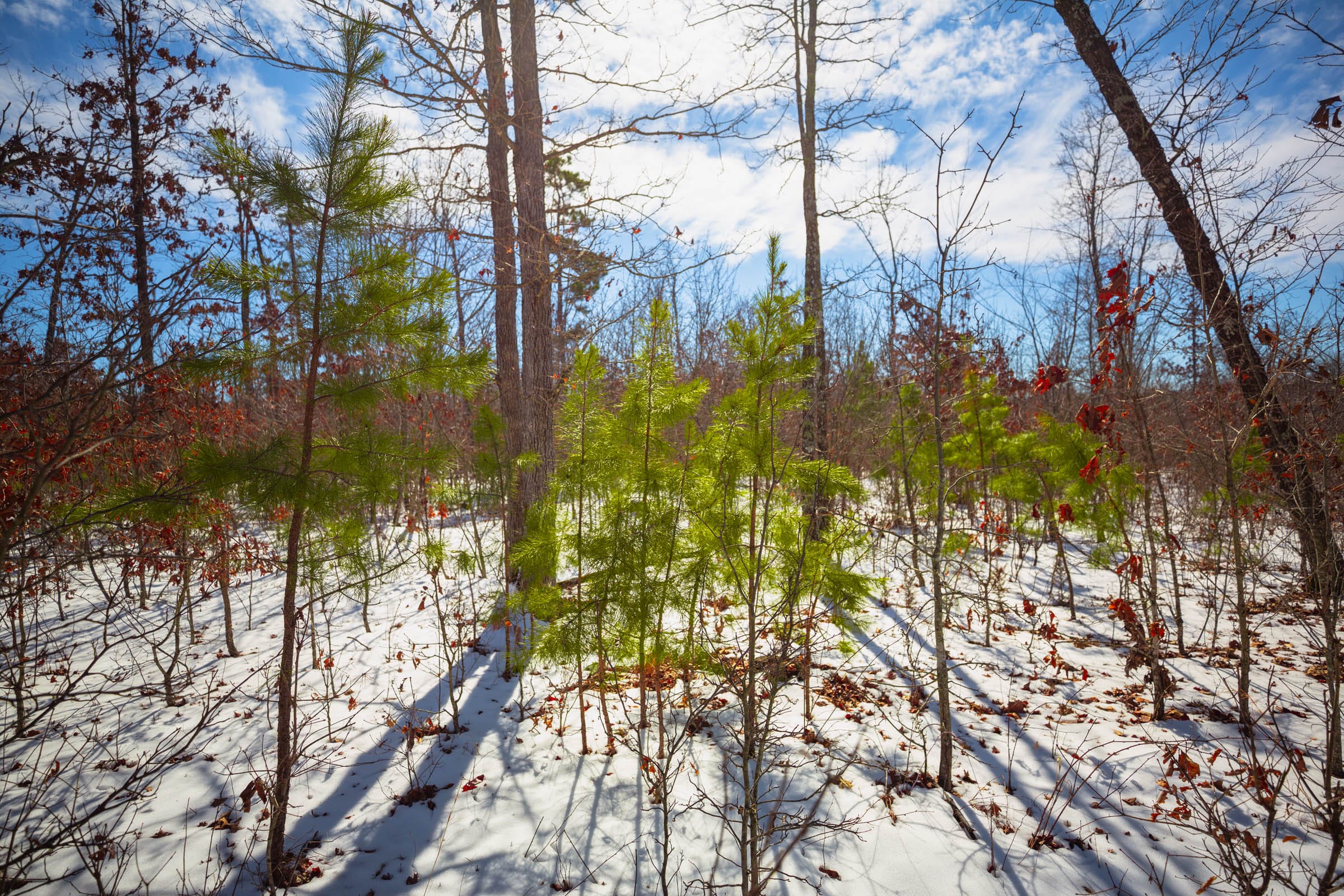 Sleepy Hollow Phase I Tract 59 photo 12