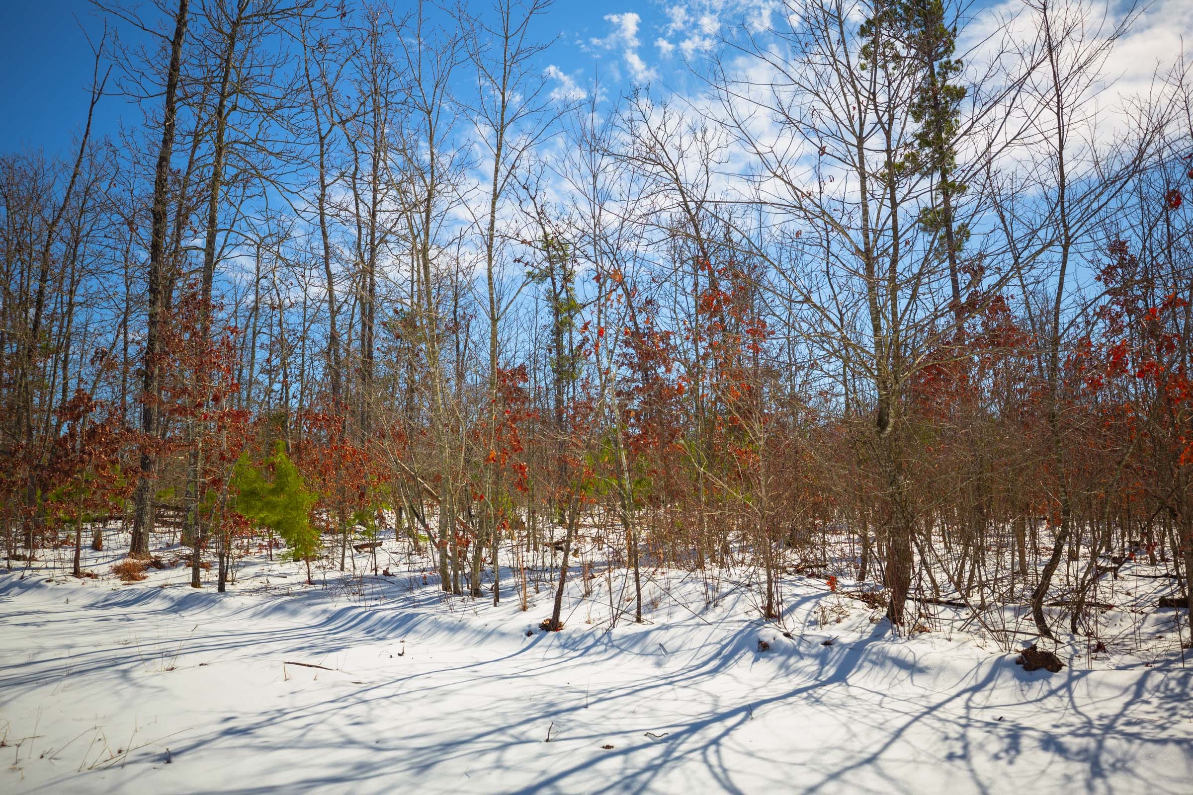 Sleepy Hollow Phase I Tract 59 photo 5