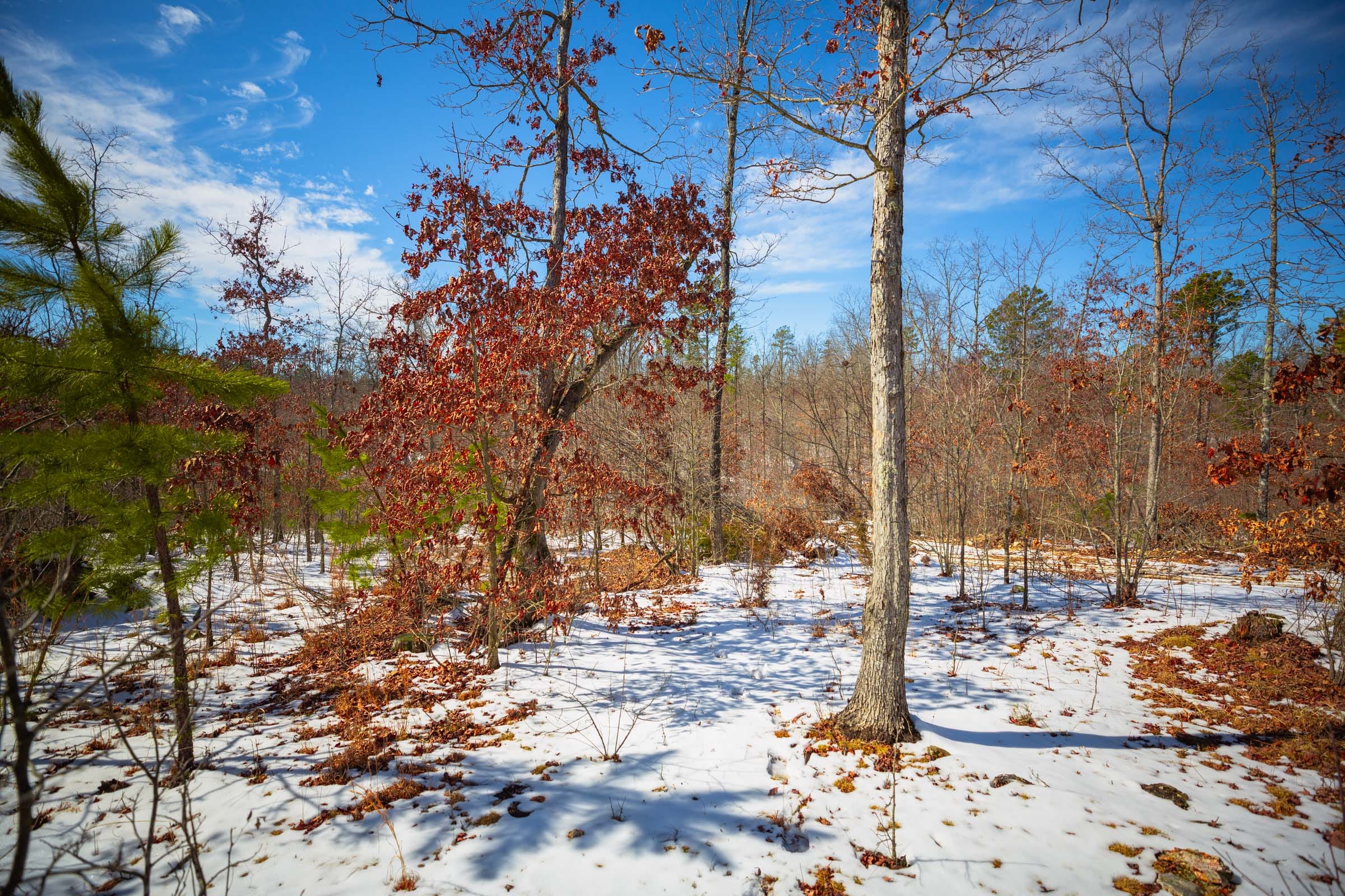 Sleepy Hollow Phase I Tract 59 photo 2