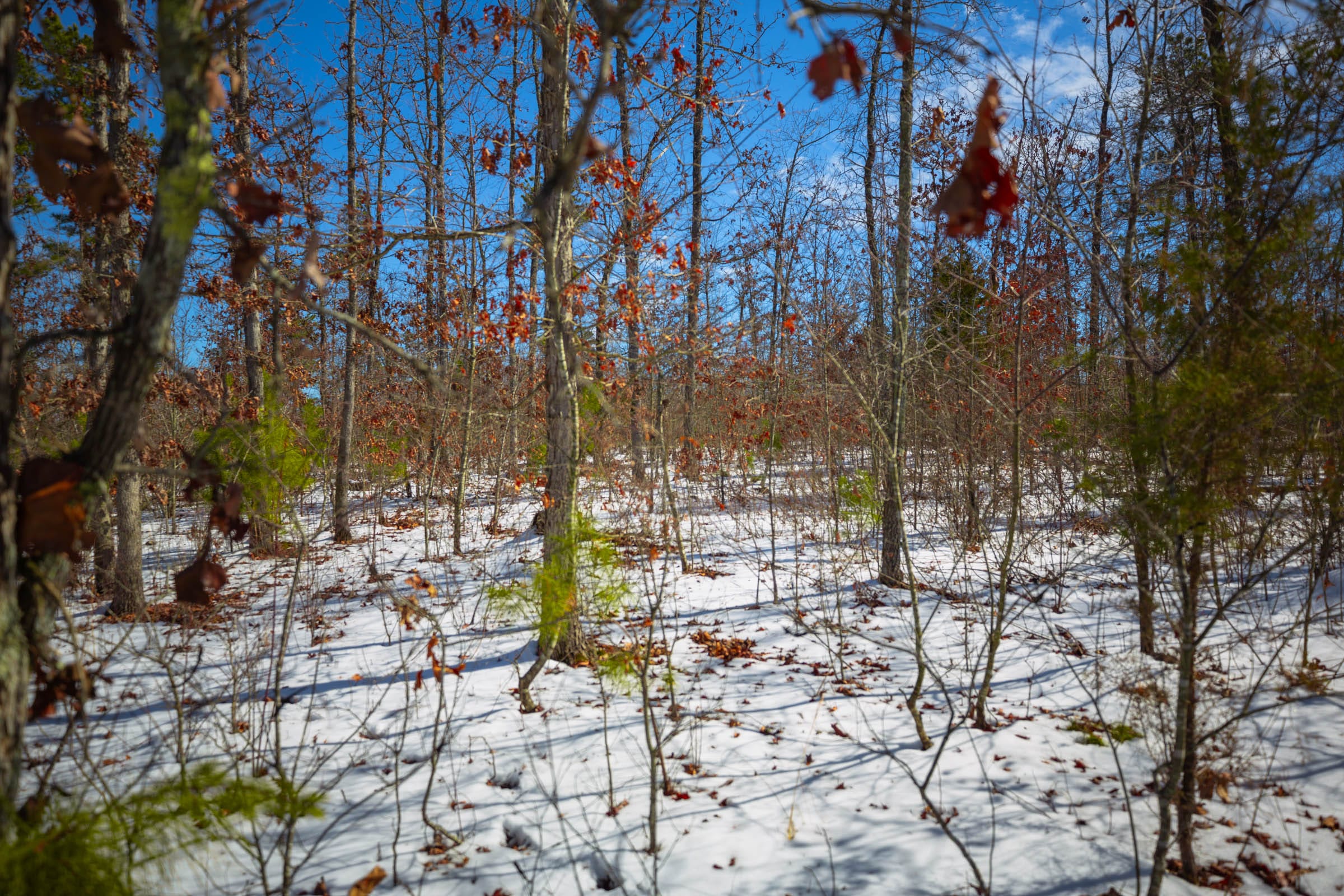 Sleepy Hollow Phase I Tract 59 photo 11