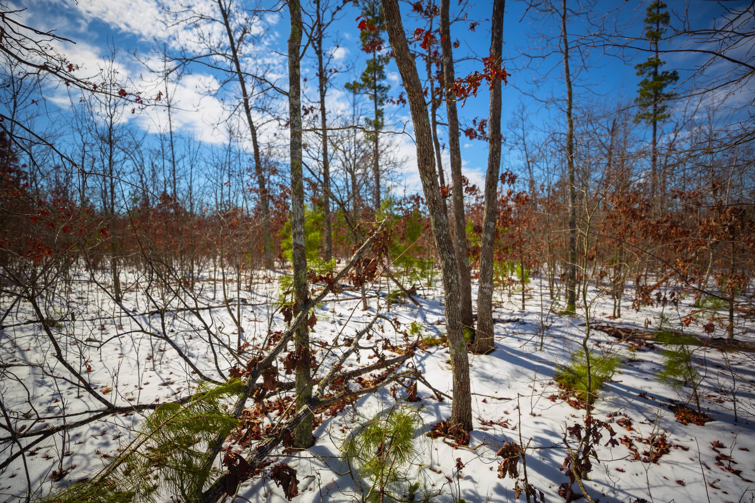 Sleepy Hollow Phase I Tract 59 photo 6