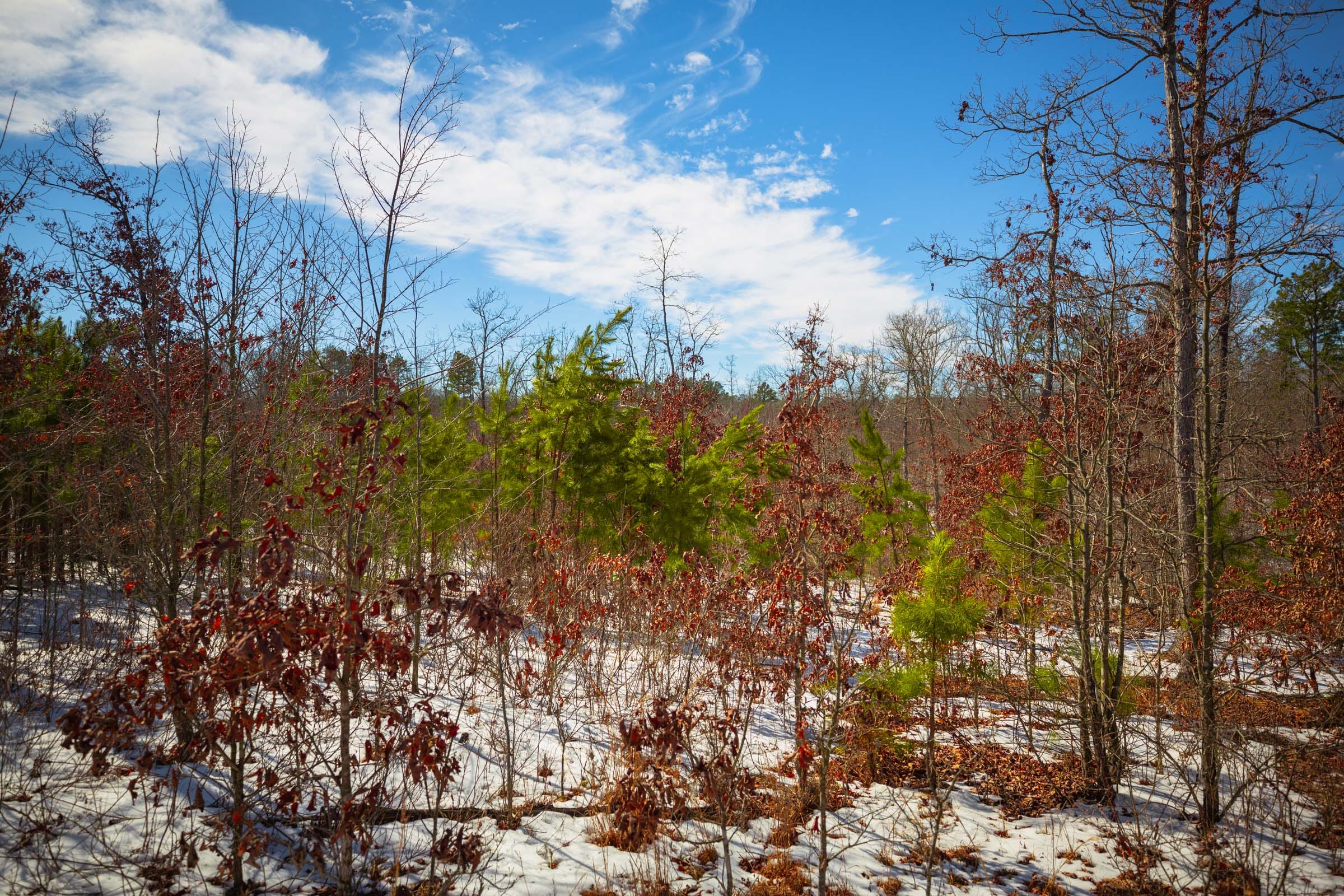 Sleepy Hollow Phase I Tract 59 photo 4