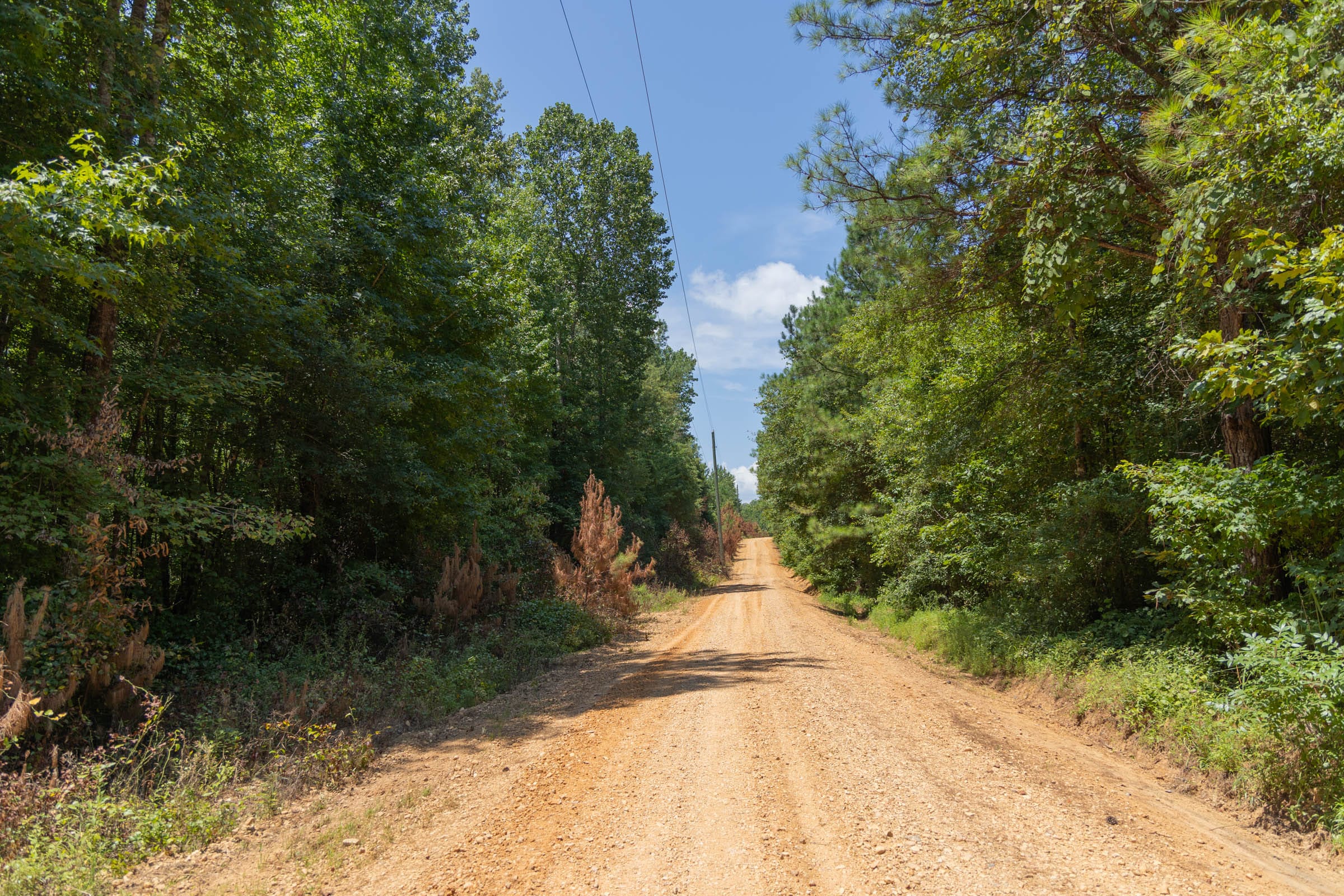 Olive Hill Tract 2 photo 6