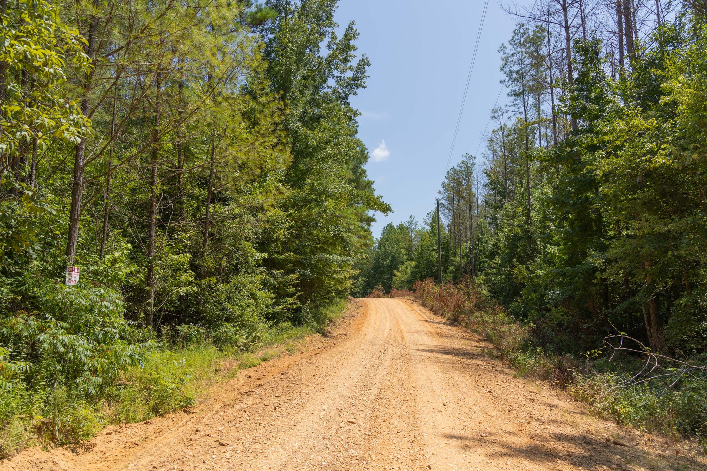 Olive Hill Tract 2 photo 2