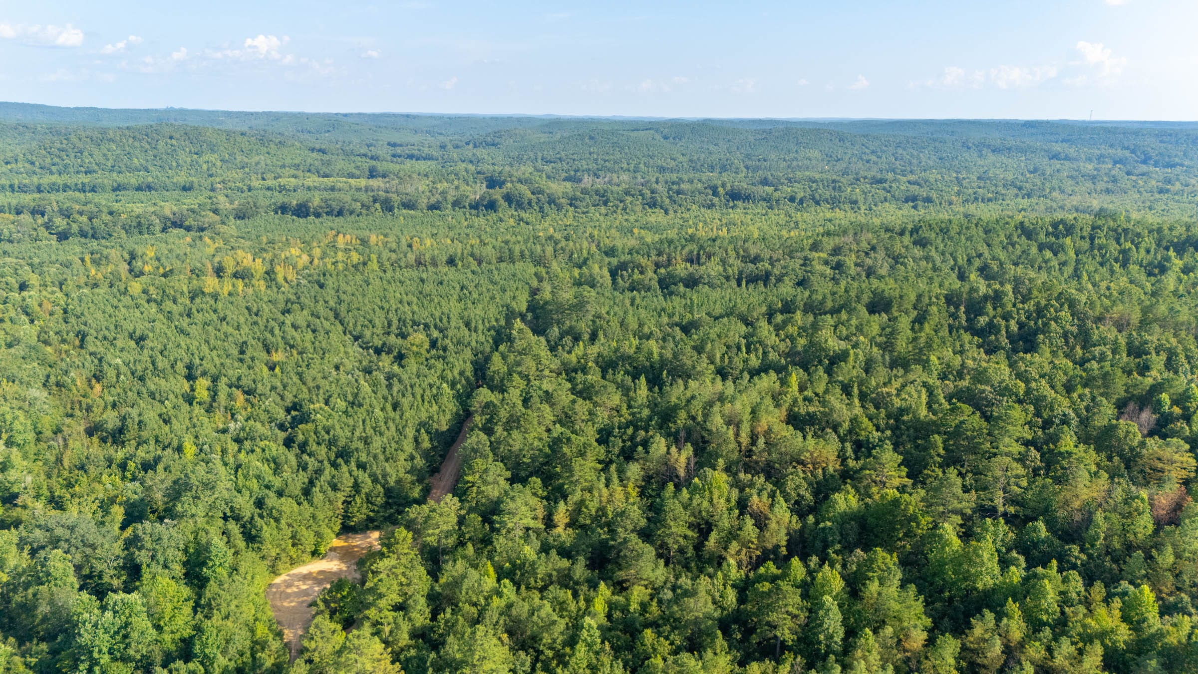 Olive Hill Tract 2 photo 1