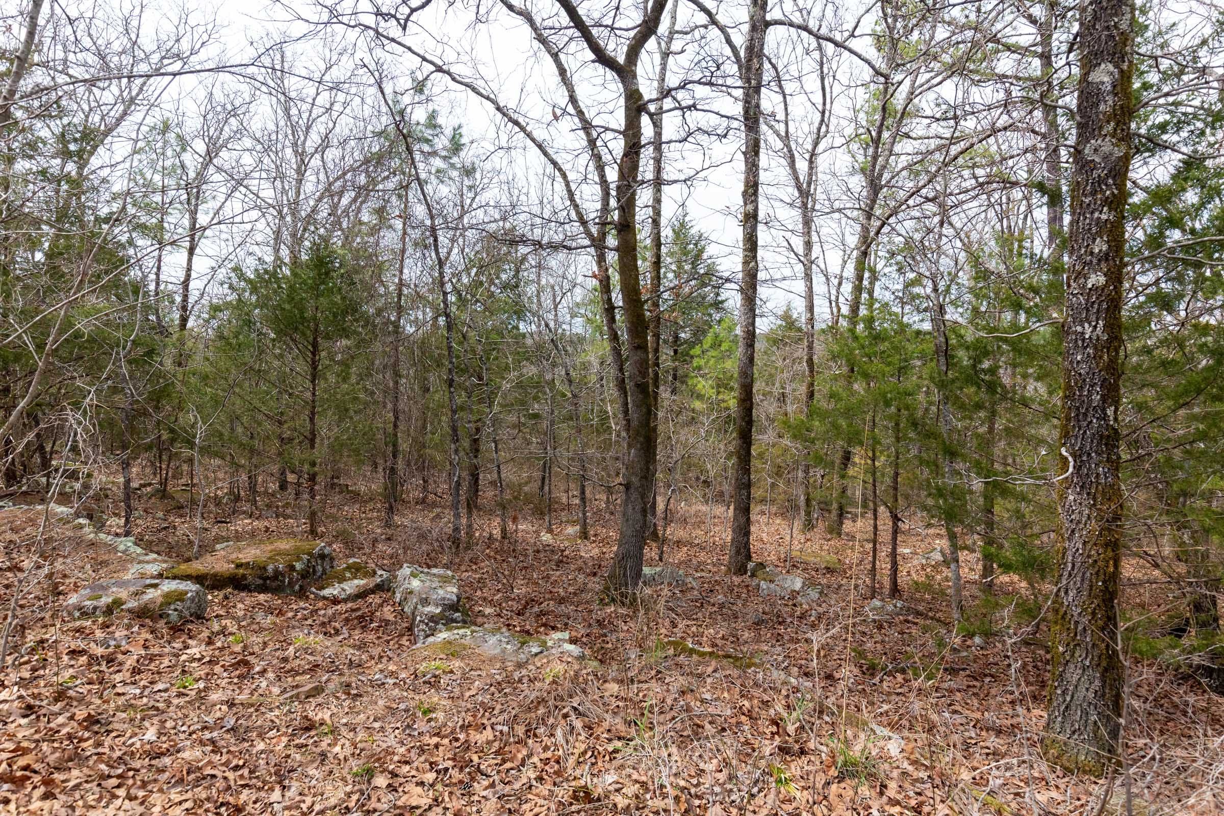 Stone Bridge Phase III Tract 149 photo 4