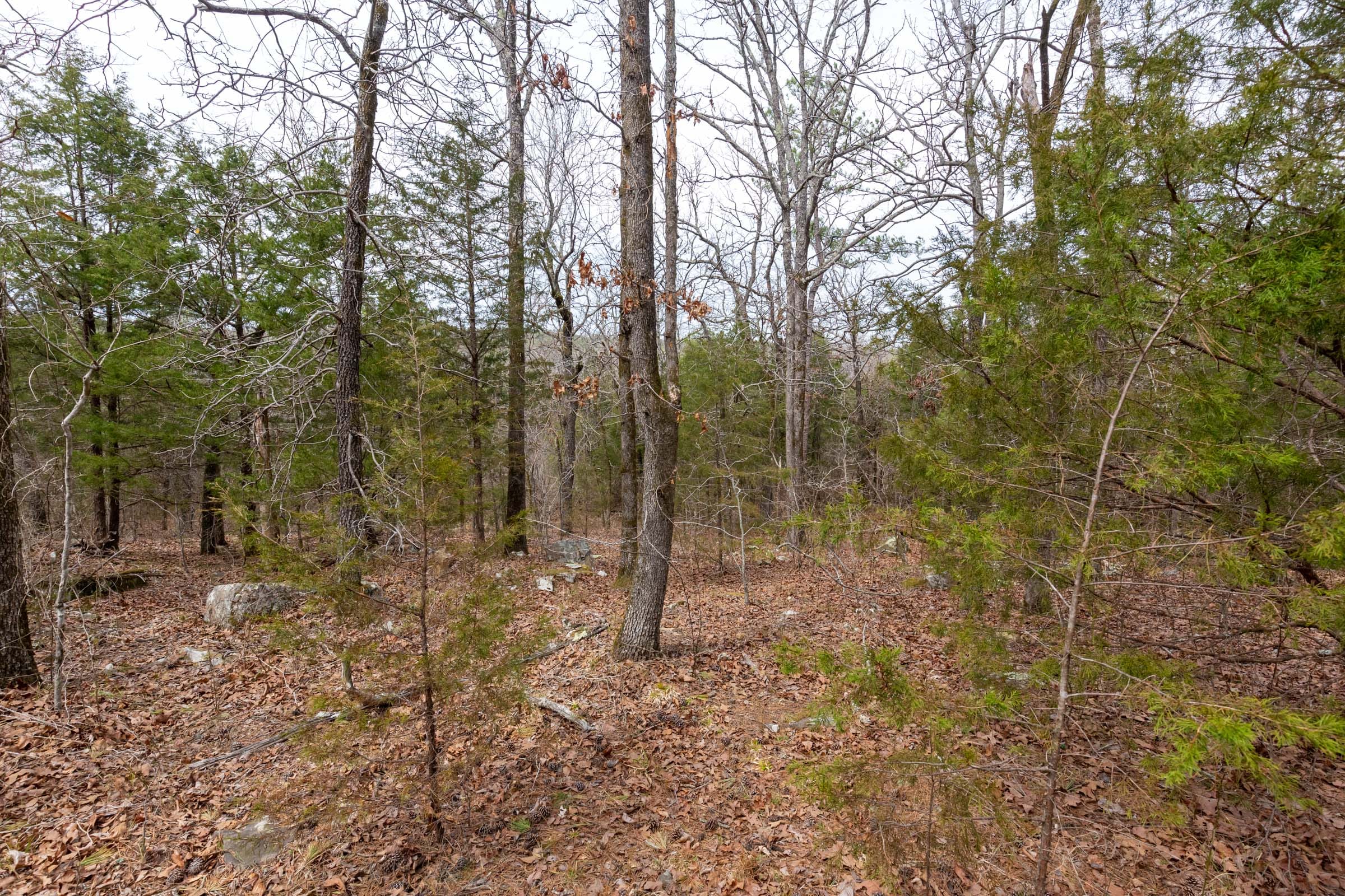 Stone Bridge Phase III Tract 149 photo 7