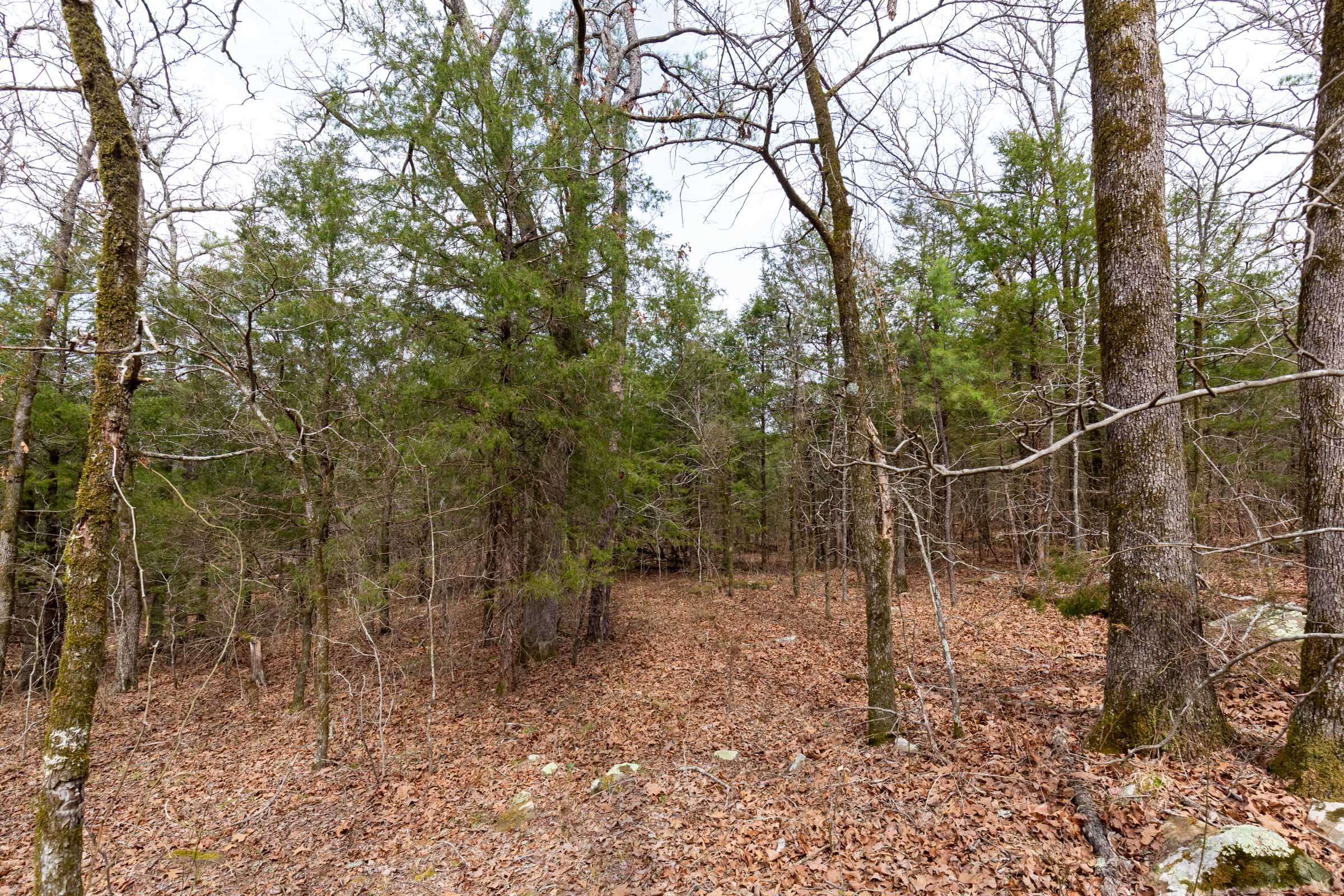 Stone Bridge Phase III Tract 149 photo 10
