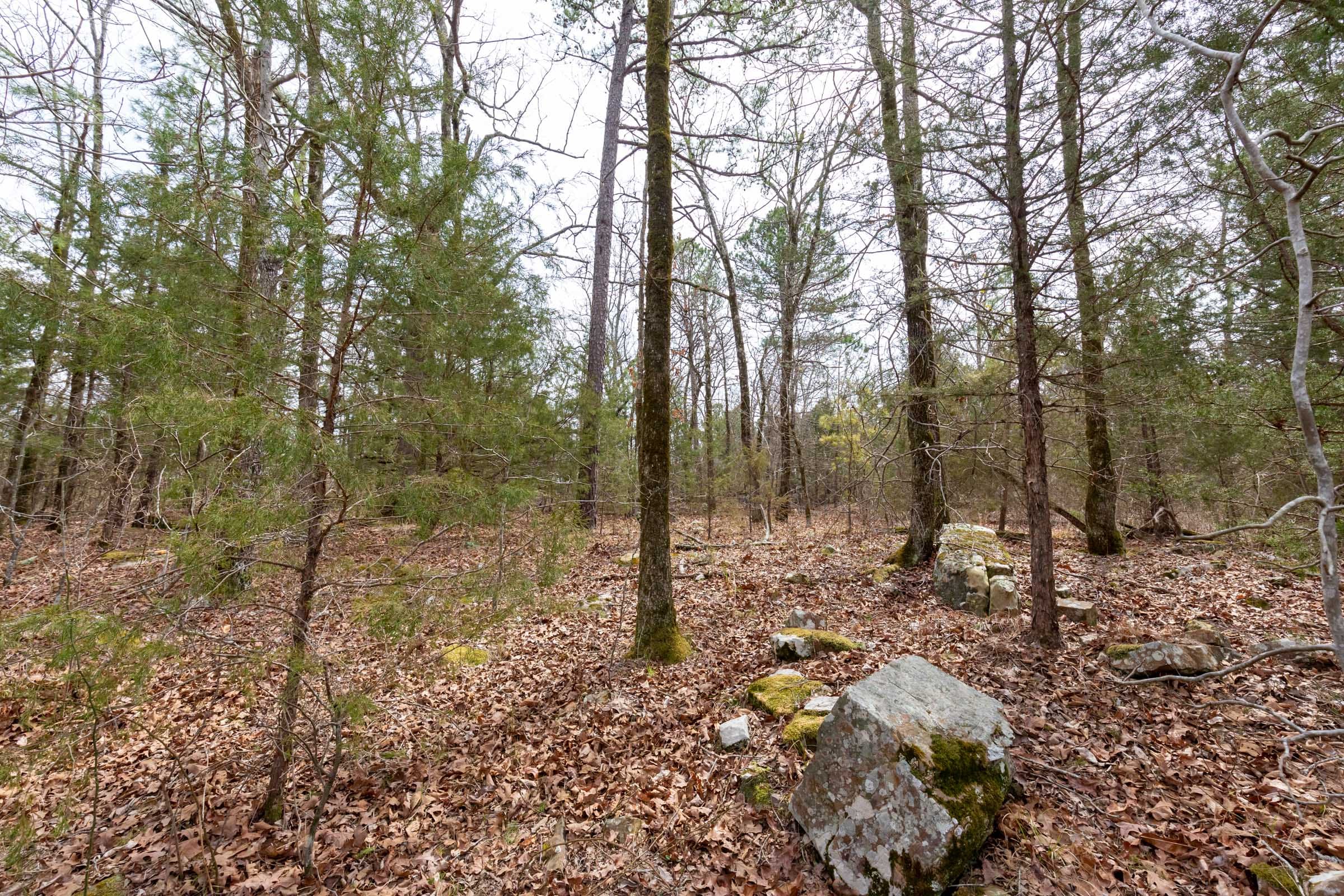 Stone Bridge Phase III Tract 149 photo 11