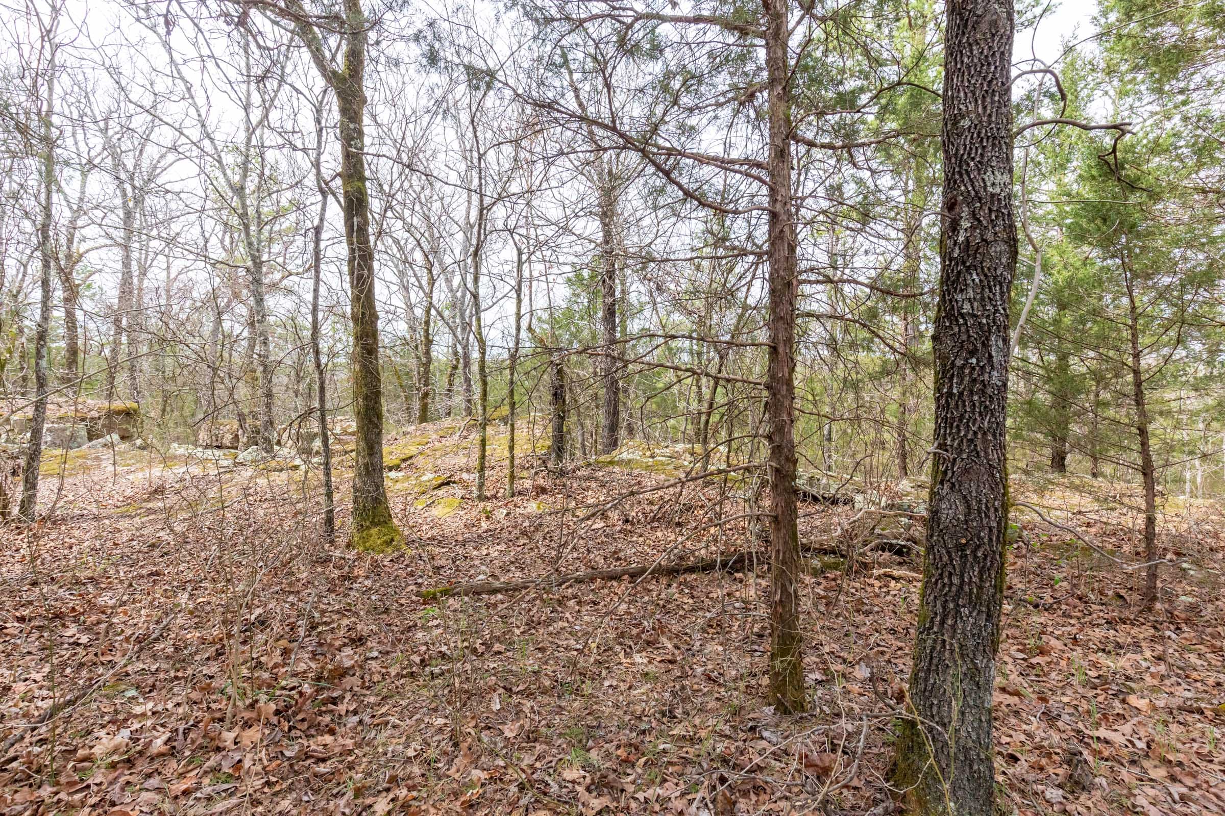 Stone Bridge Phase III Tract 149 photo 12