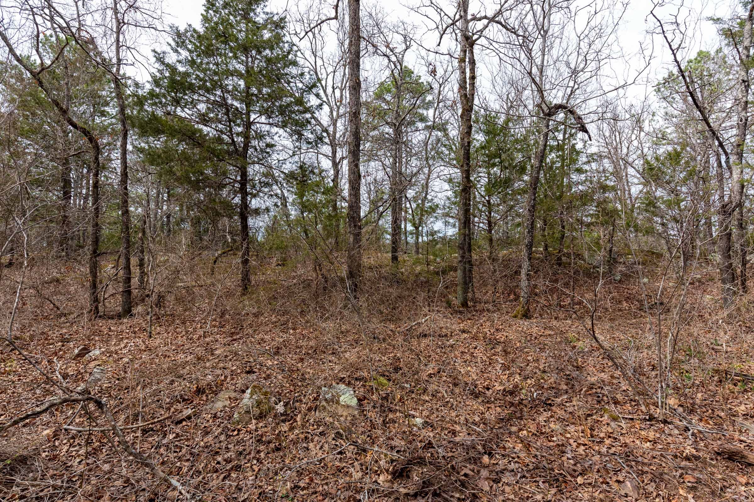 Stone Bridge Phase III Tract 149 photo 13
