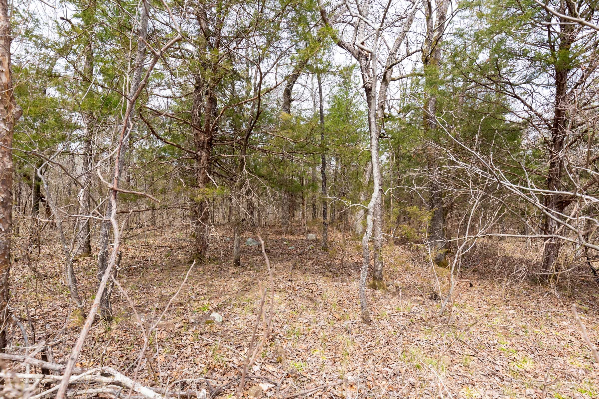 Stone Bridge Phase III Tract 149 photo 14