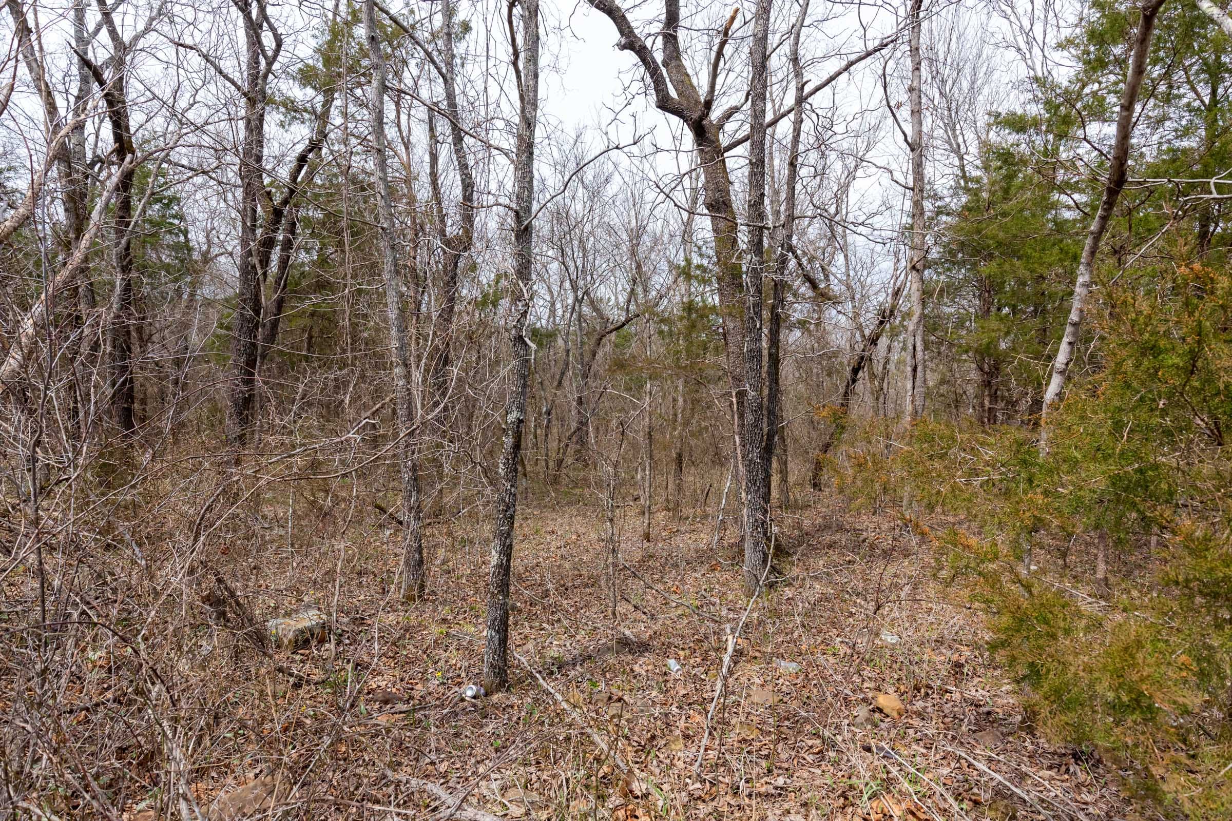 Stone Bridge Phase III Tract 149 photo 15