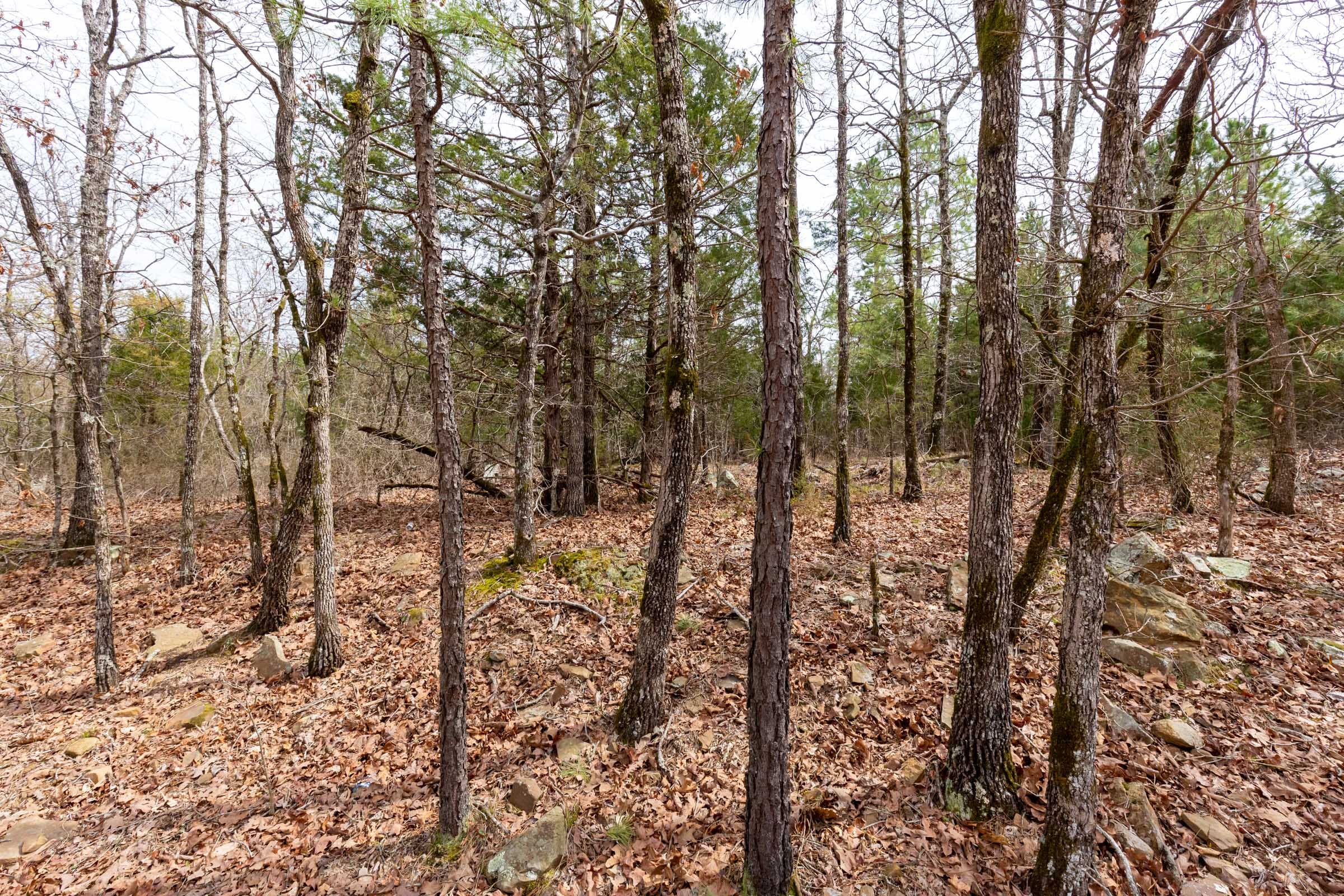 Stone Bridge Phase III Tract 149 photo 16