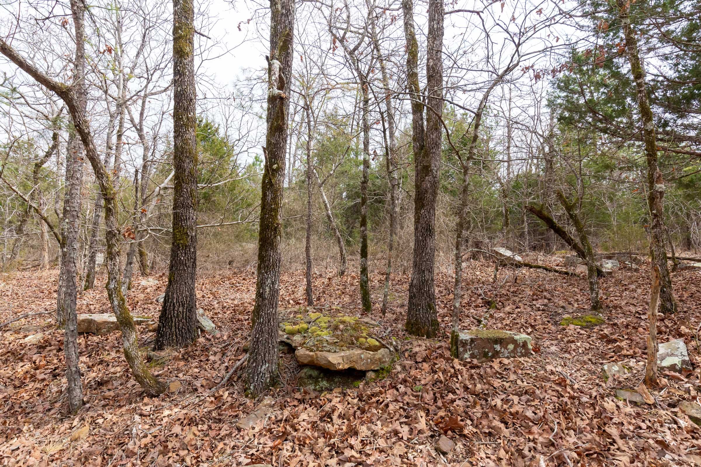 Stone Bridge Phase III Tract 149 photo 17