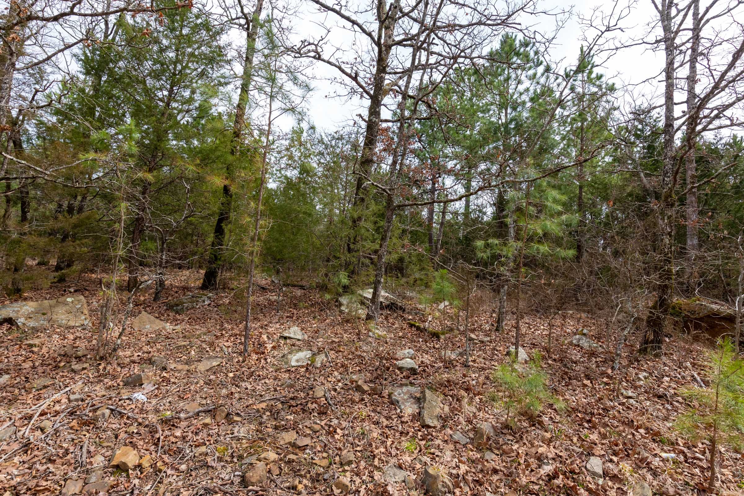 Stone Bridge Phase III Tract 149 photo 18