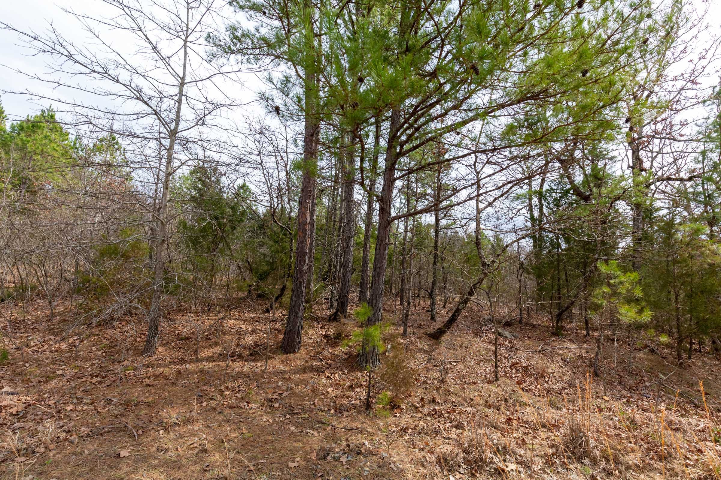 Stone Bridge Phase III Tract 149 photo 19