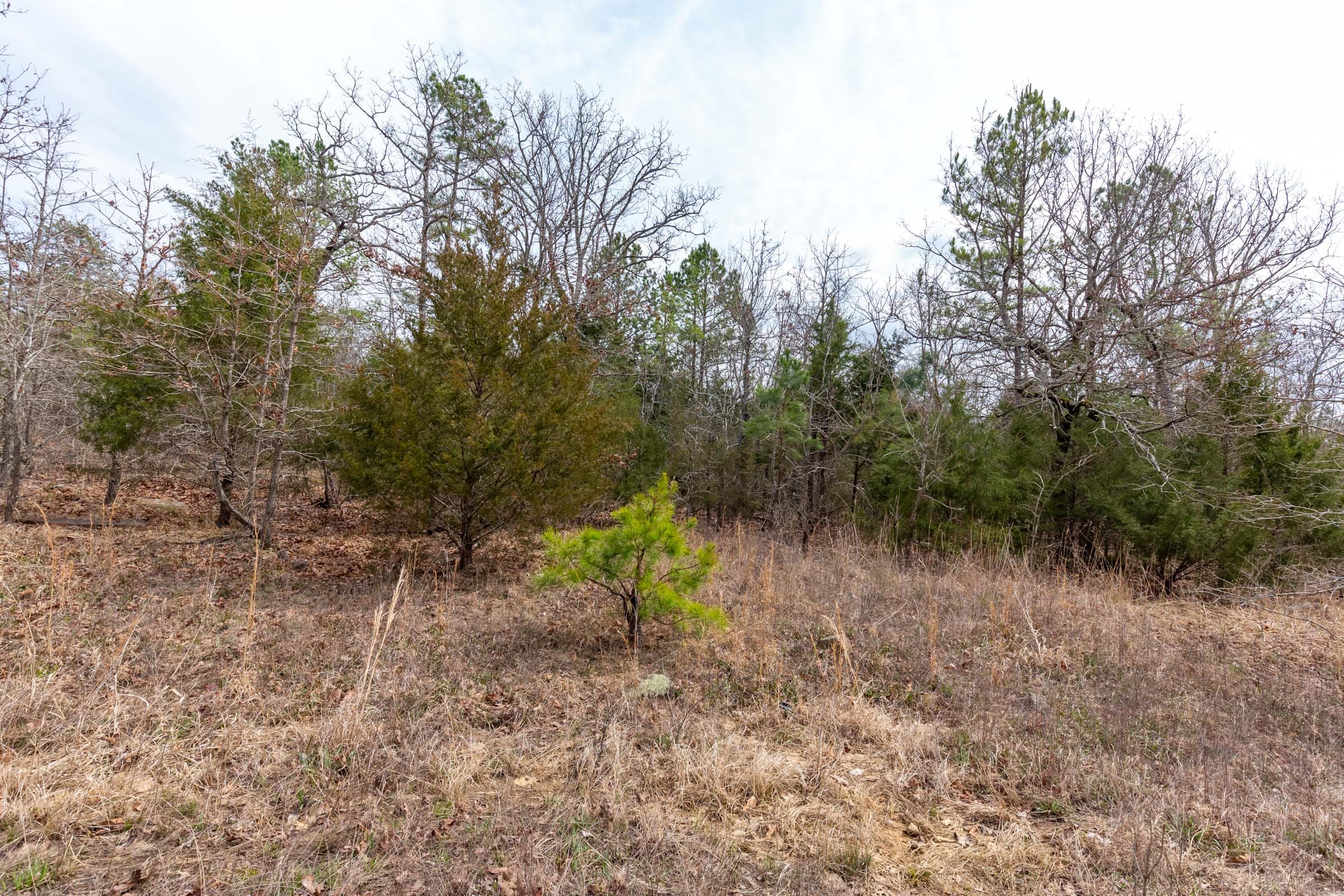Stone Bridge Phase III Tract 149 photo 20