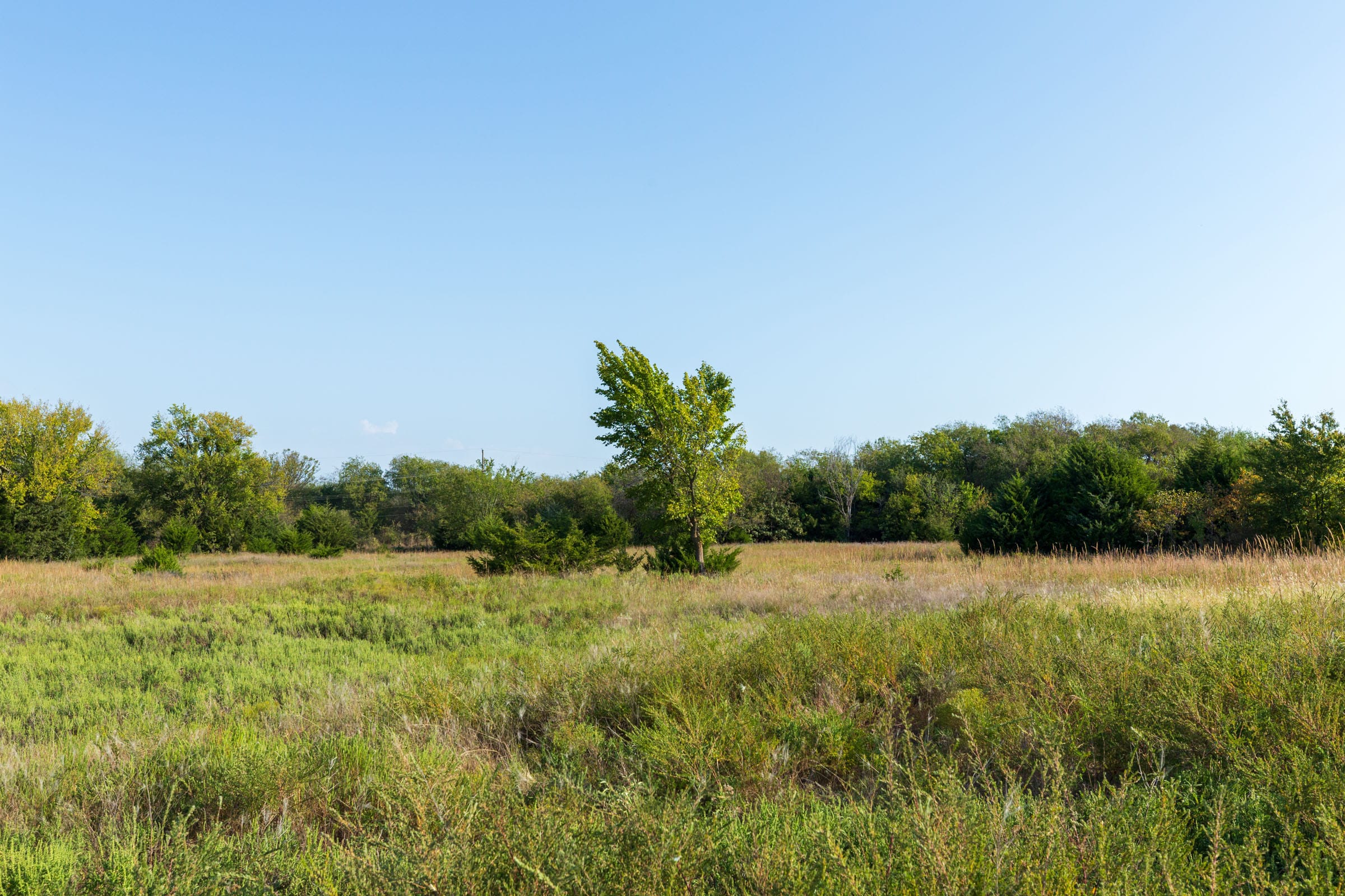 Canyon Creek Tract 2 photo 6