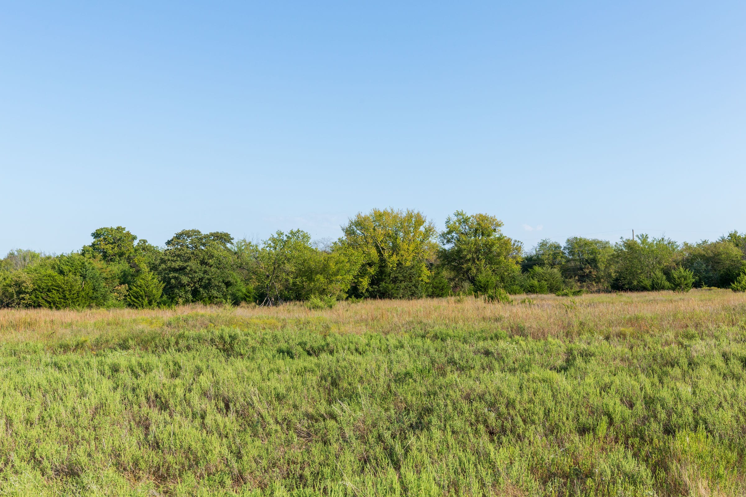 Canyon Creek Tract 2 photo 8
