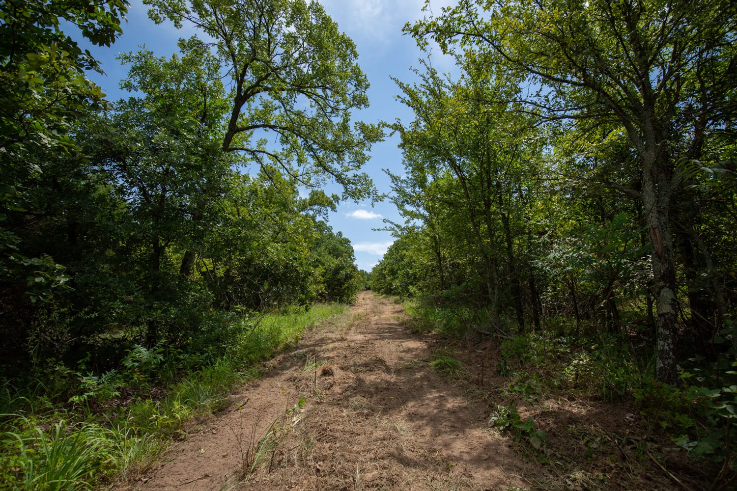 Timber Ridge Tract 43 photo 3
