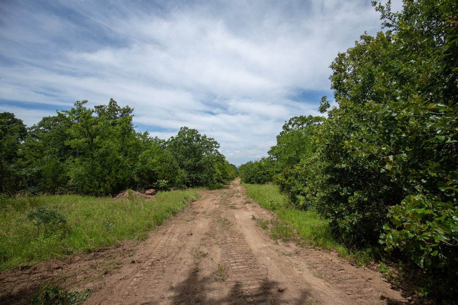 Timber Ridge Tract 43 photo 5