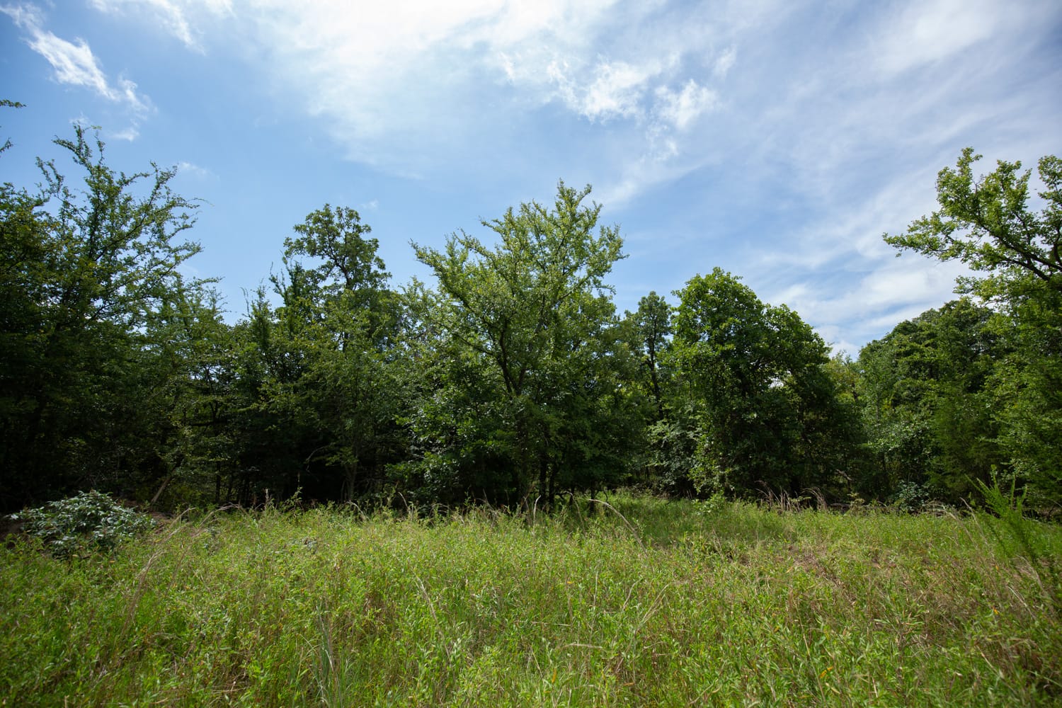 Timber Ridge Tract 43 photo 6
