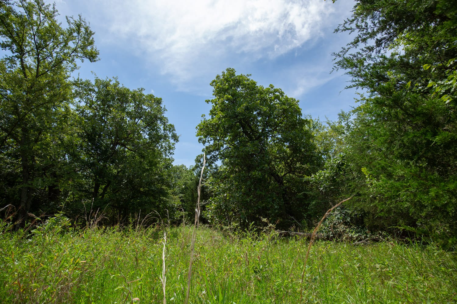 Timber Ridge Tract 43 photo 1