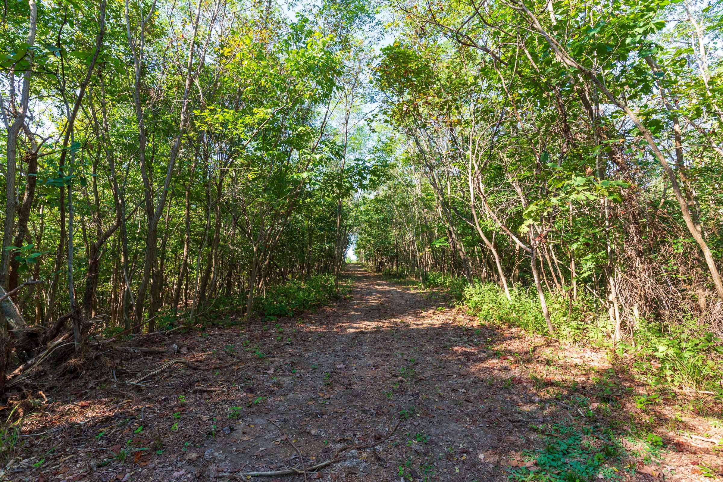 Redemption Ridge Tract 4 photo 1