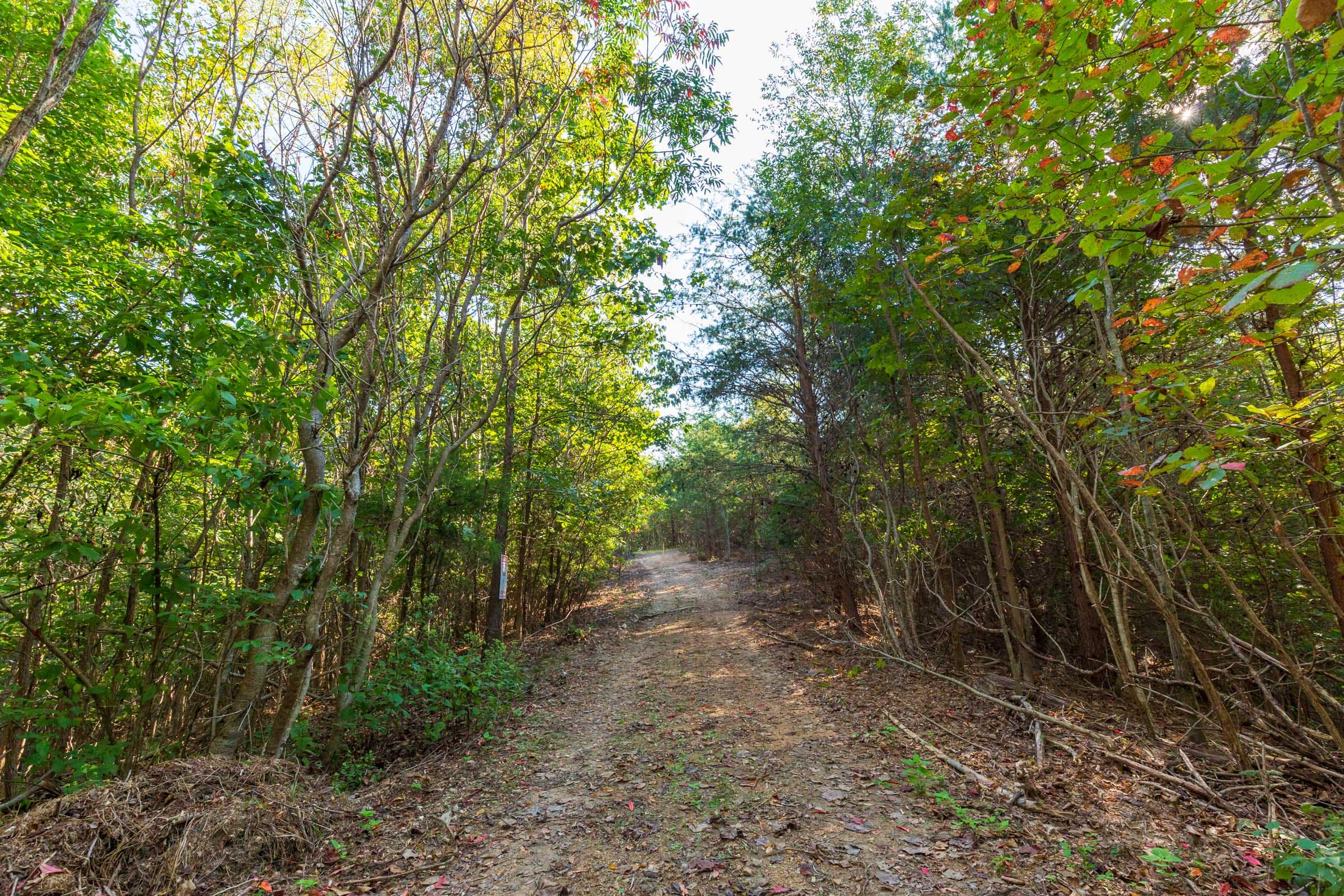 Redemption Ridge Tract 4 photo 3