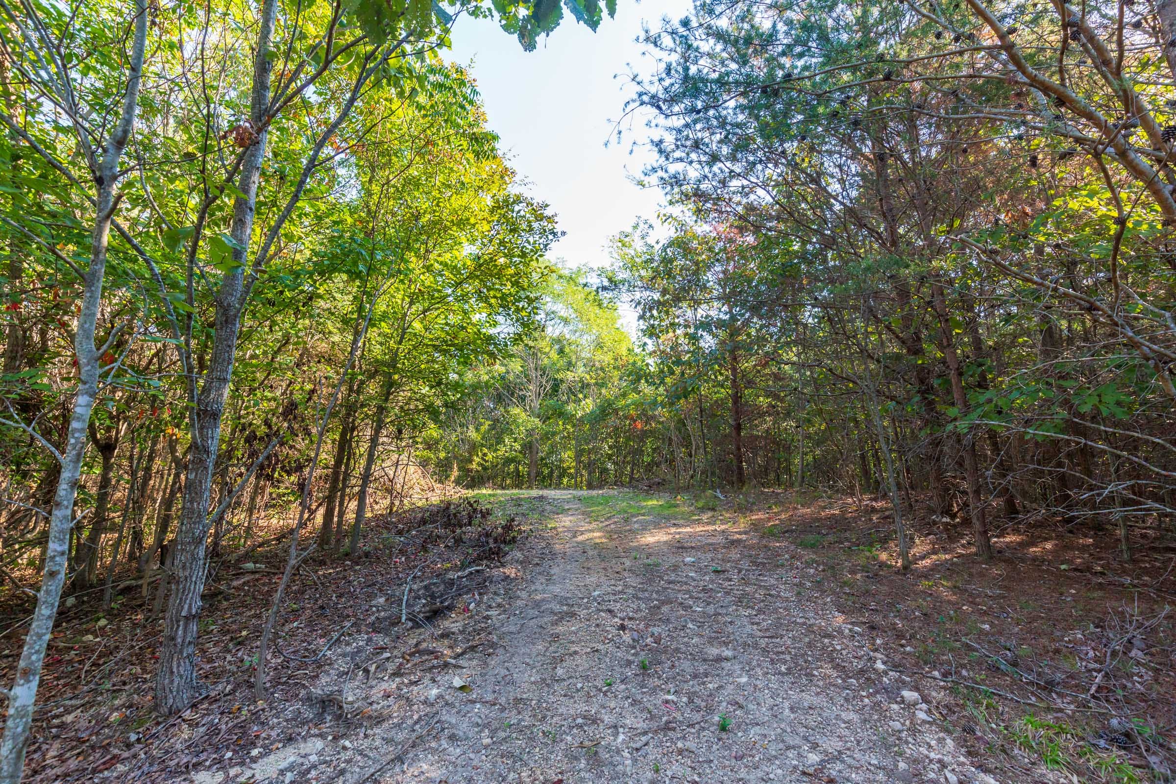 Redemption Ridge Tract 4 photo 5