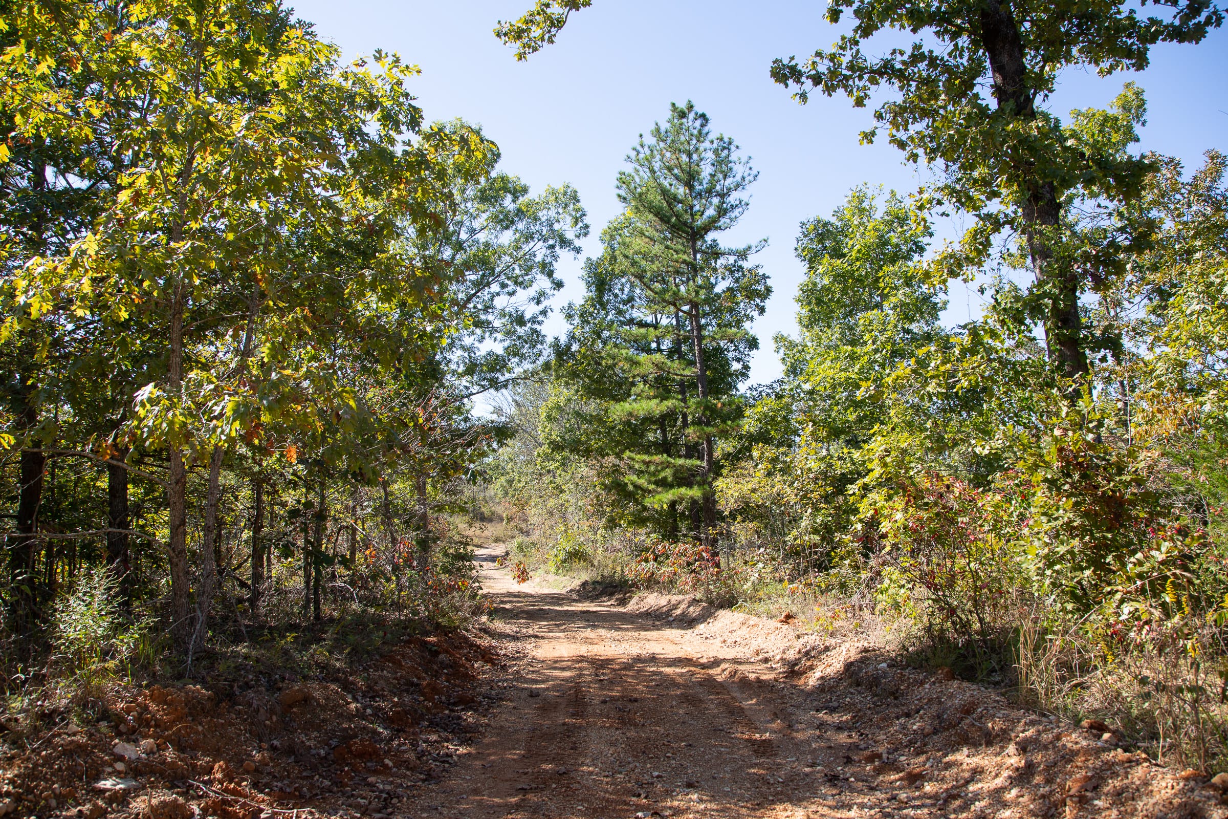 Borgmann’s Hollow Phase III Tract 99 photo 1