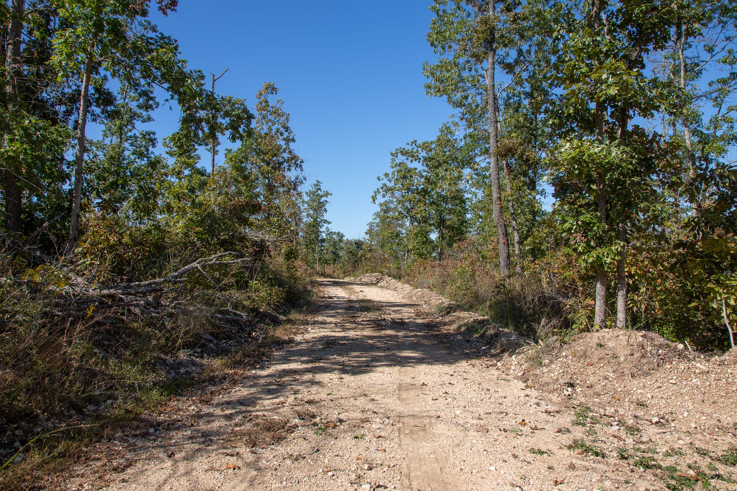 Borgmann’s Hollow Phase III Tract 99 photo 8