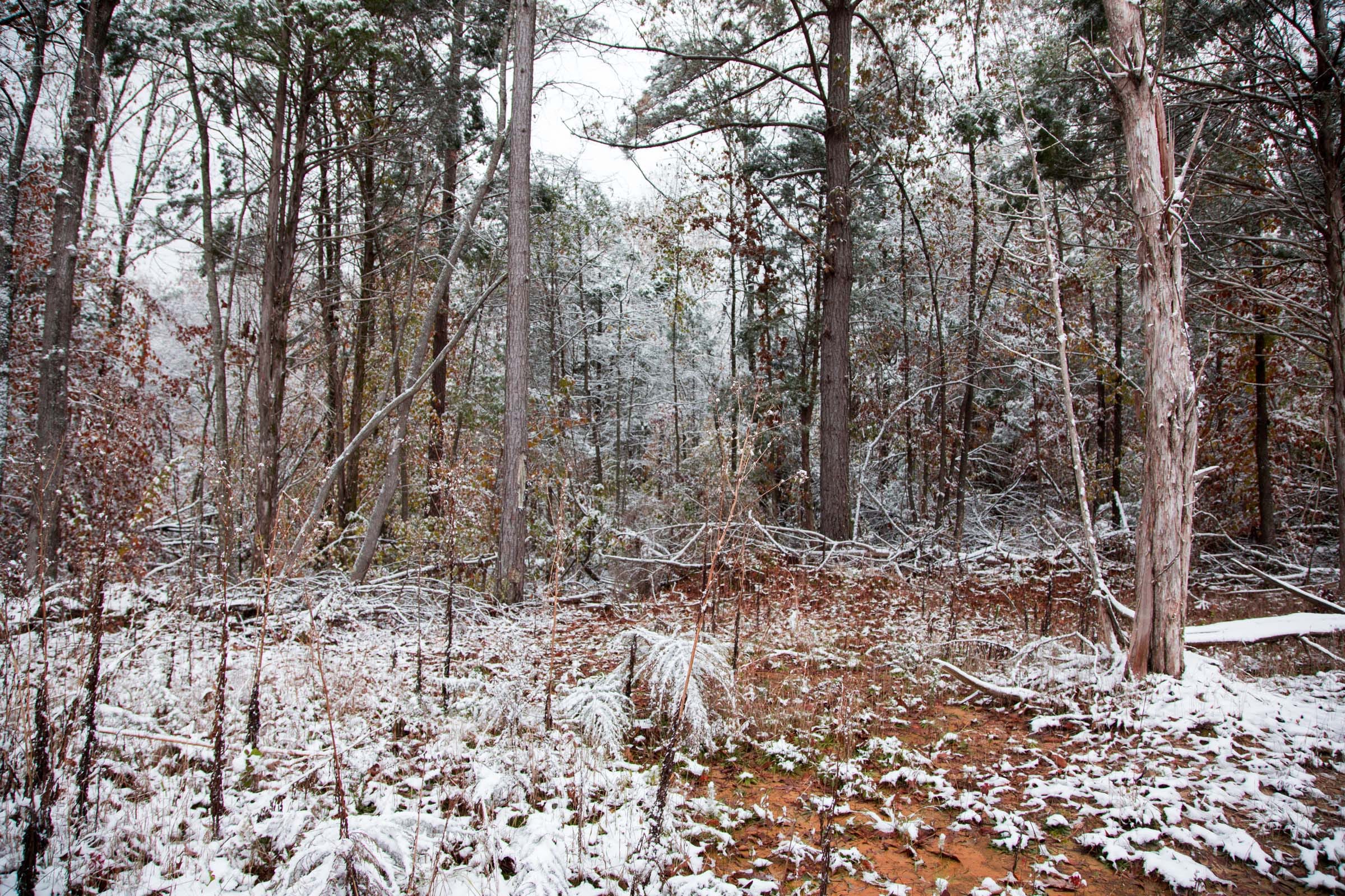 Sweet Water Ranch Tract 10 photo 3