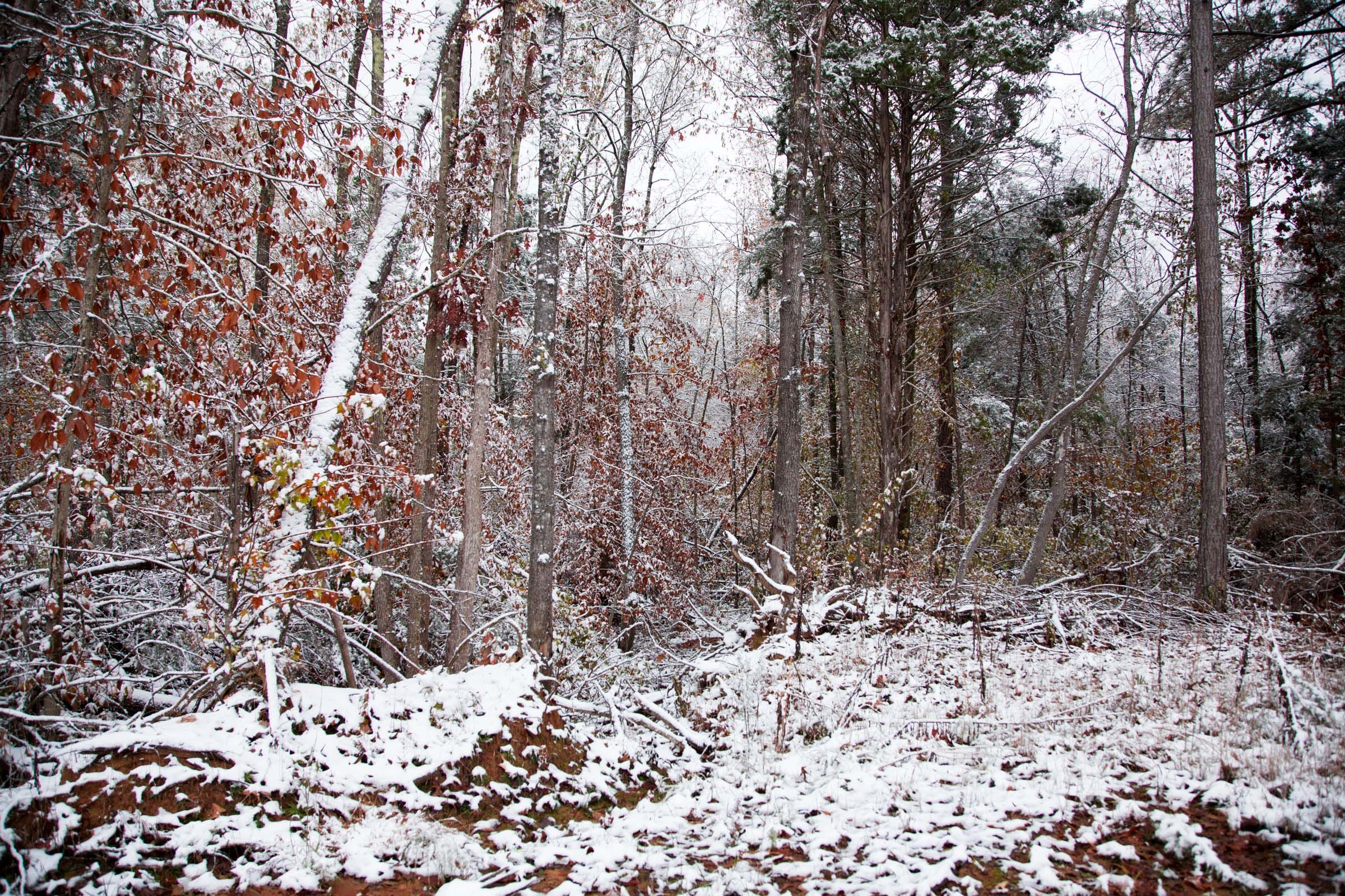 Sweet Water Ranch Tract 10 photo 4