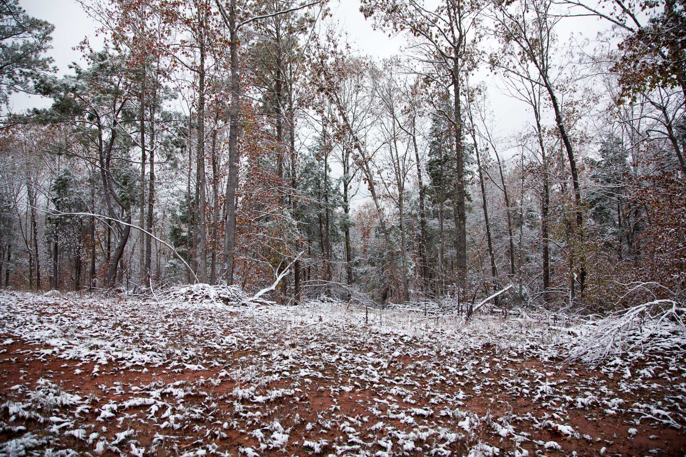Sweet Water Ranch Tract 10 photo 6