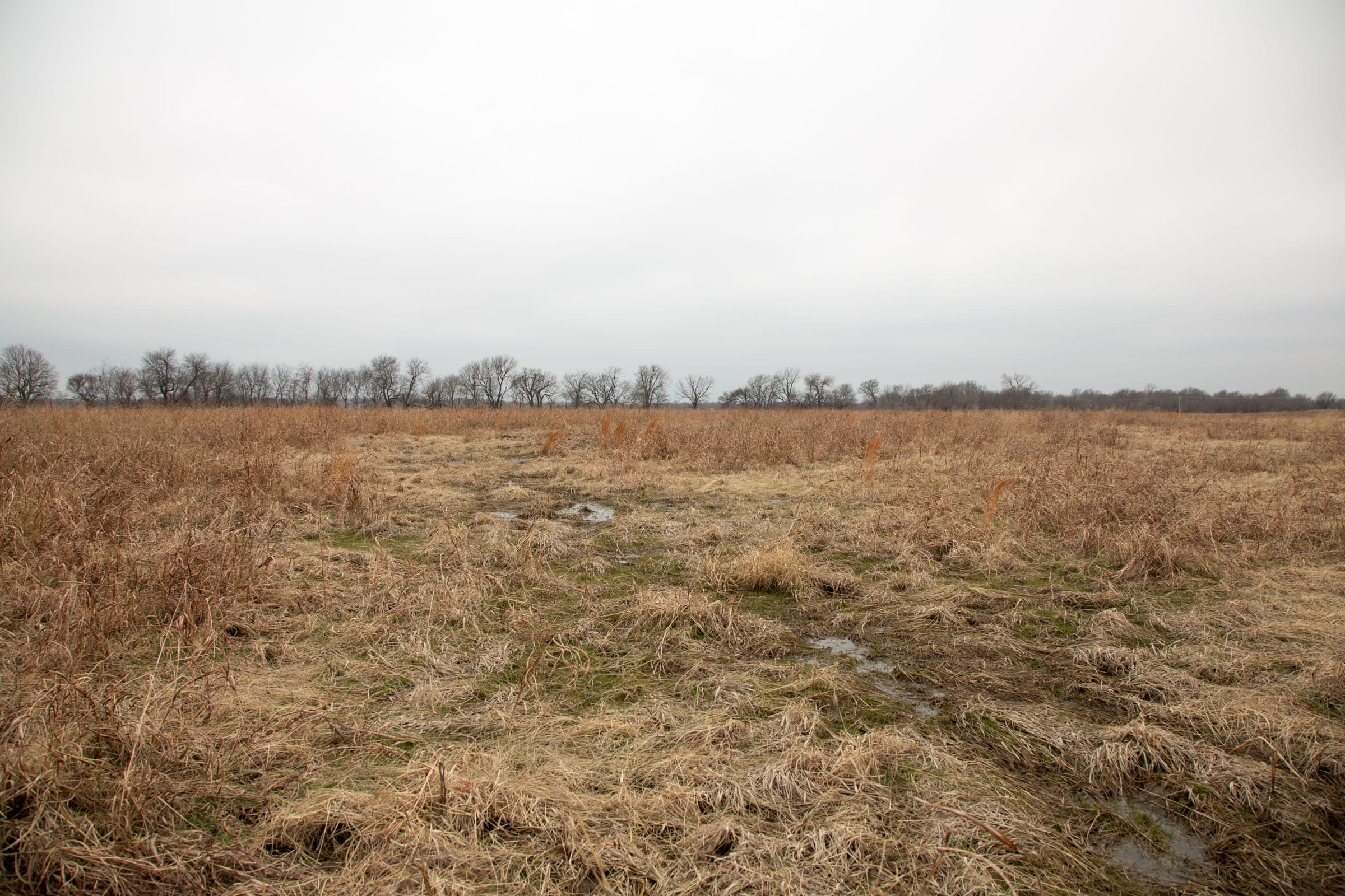 Canadian Plains Tract 25 photo 3