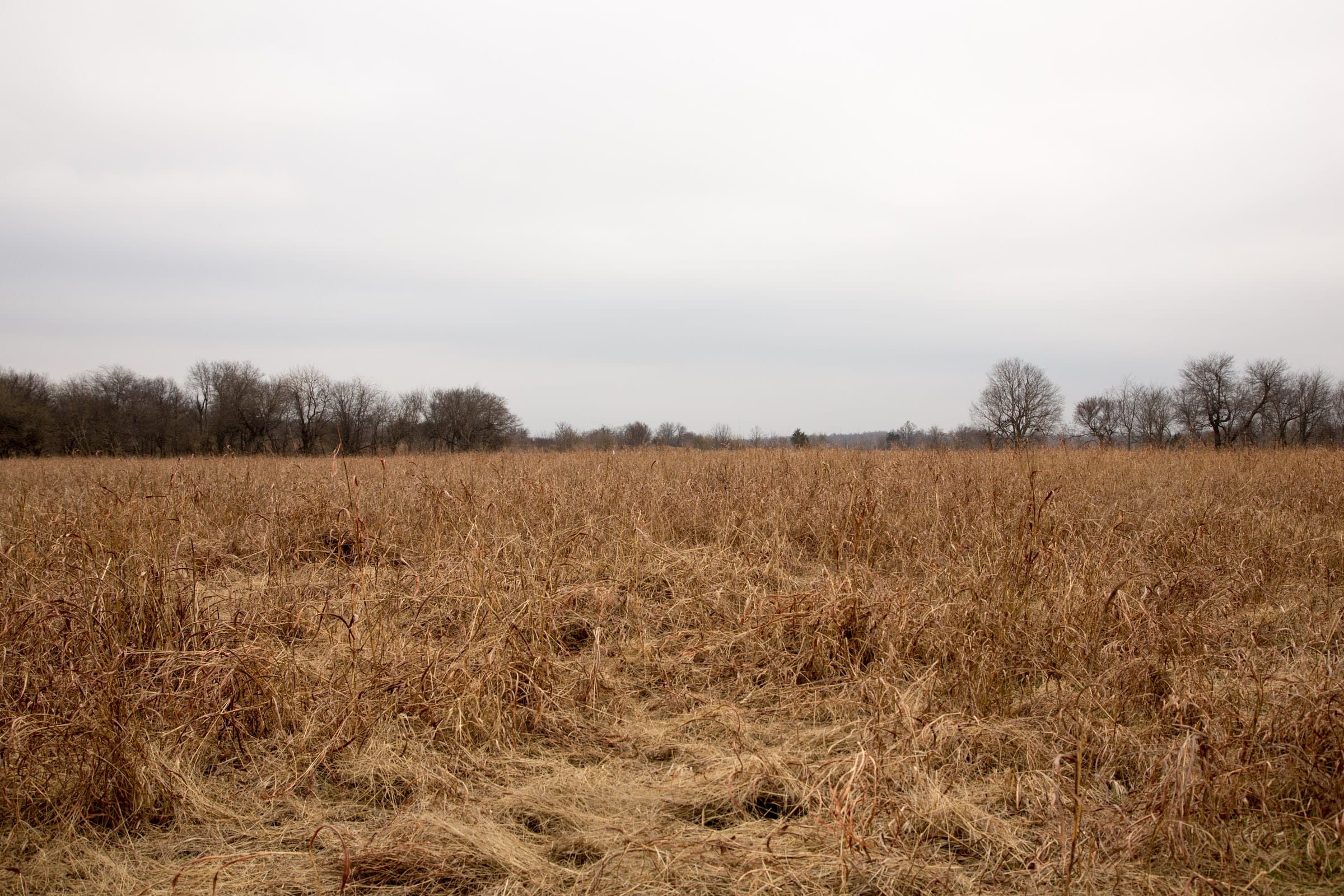 Canadian Plains Tract 25 photo 4