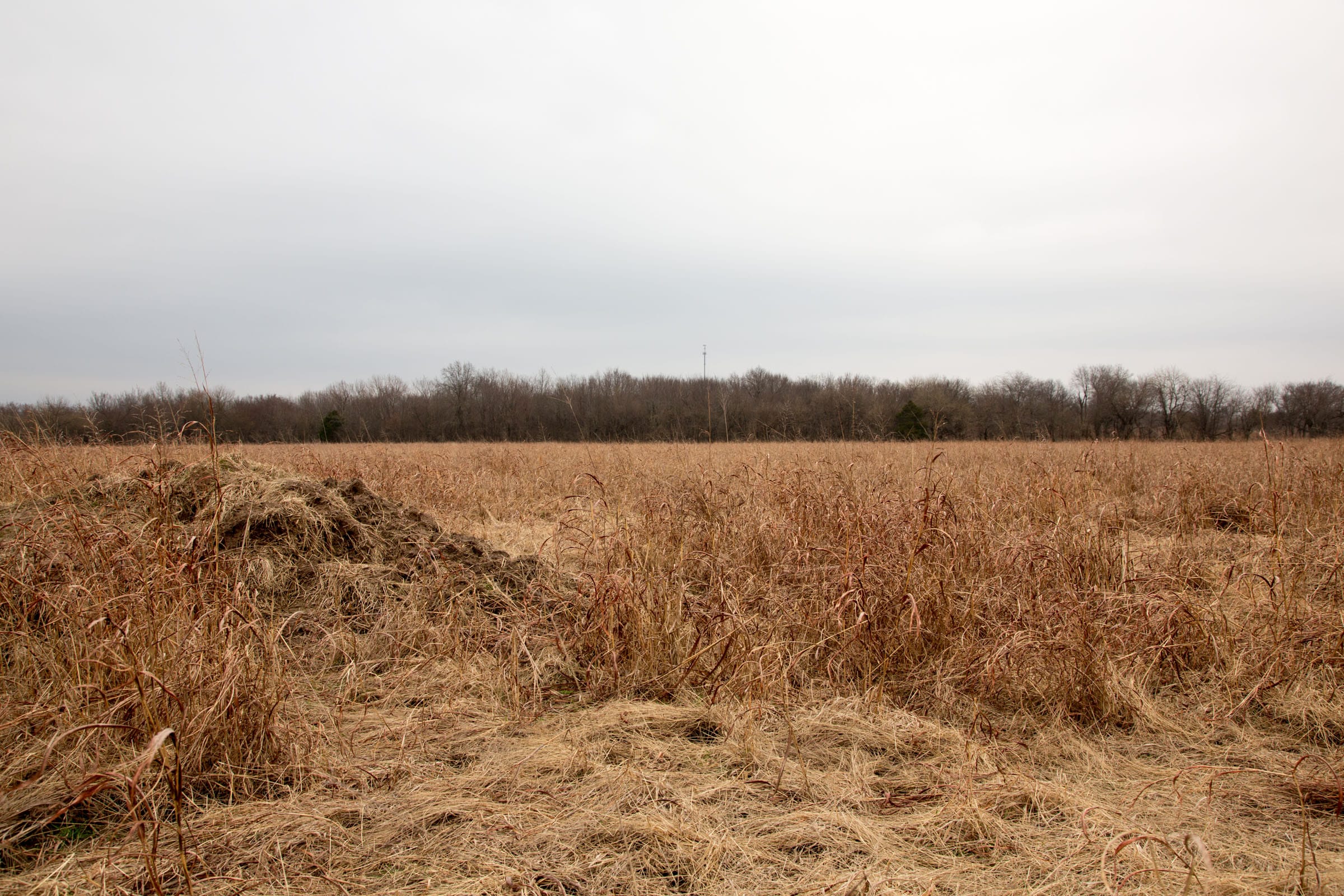 Canadian Plains Tract 25 photo 5