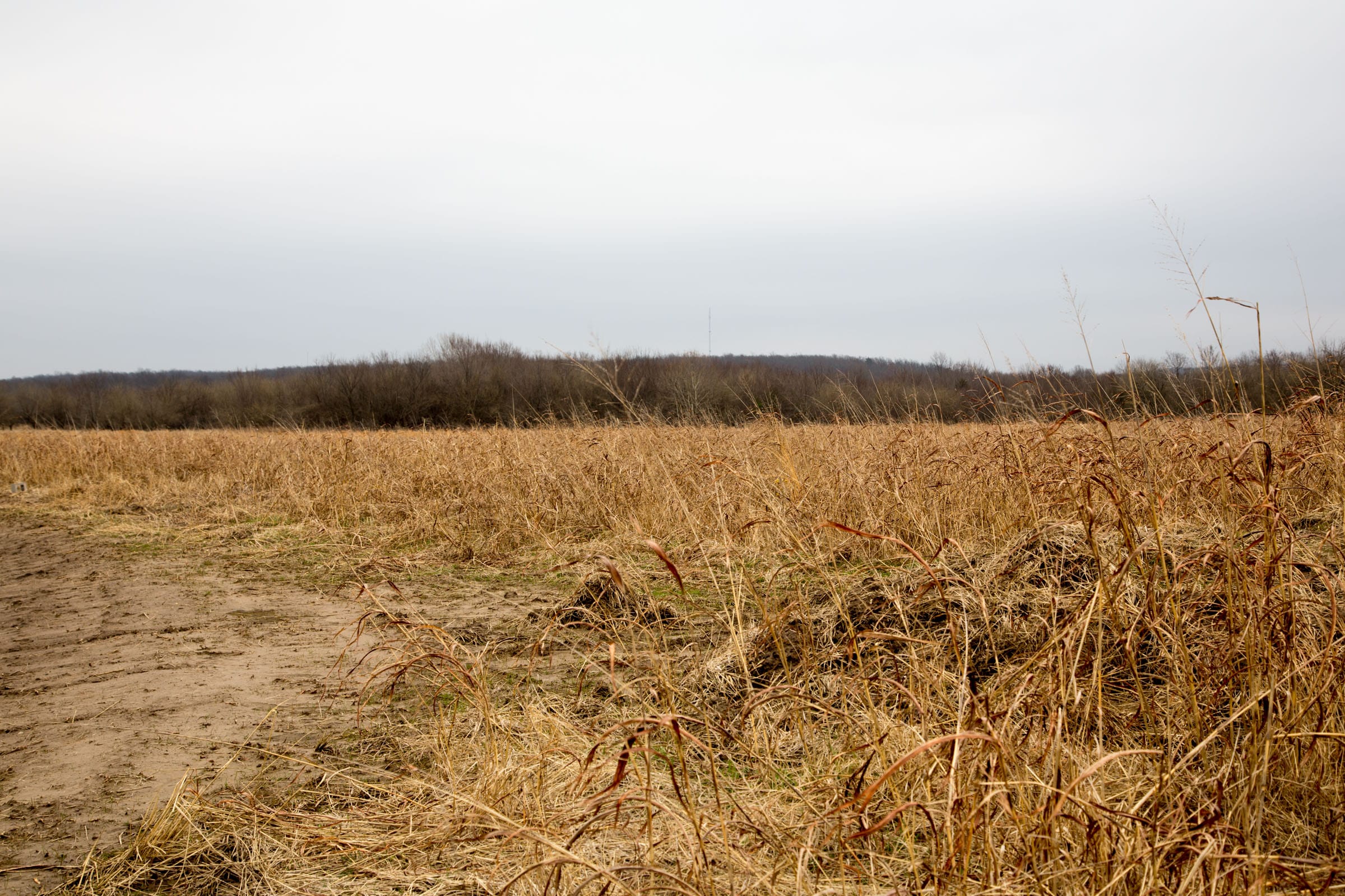 Canadian Plains Tract 25 photo 6