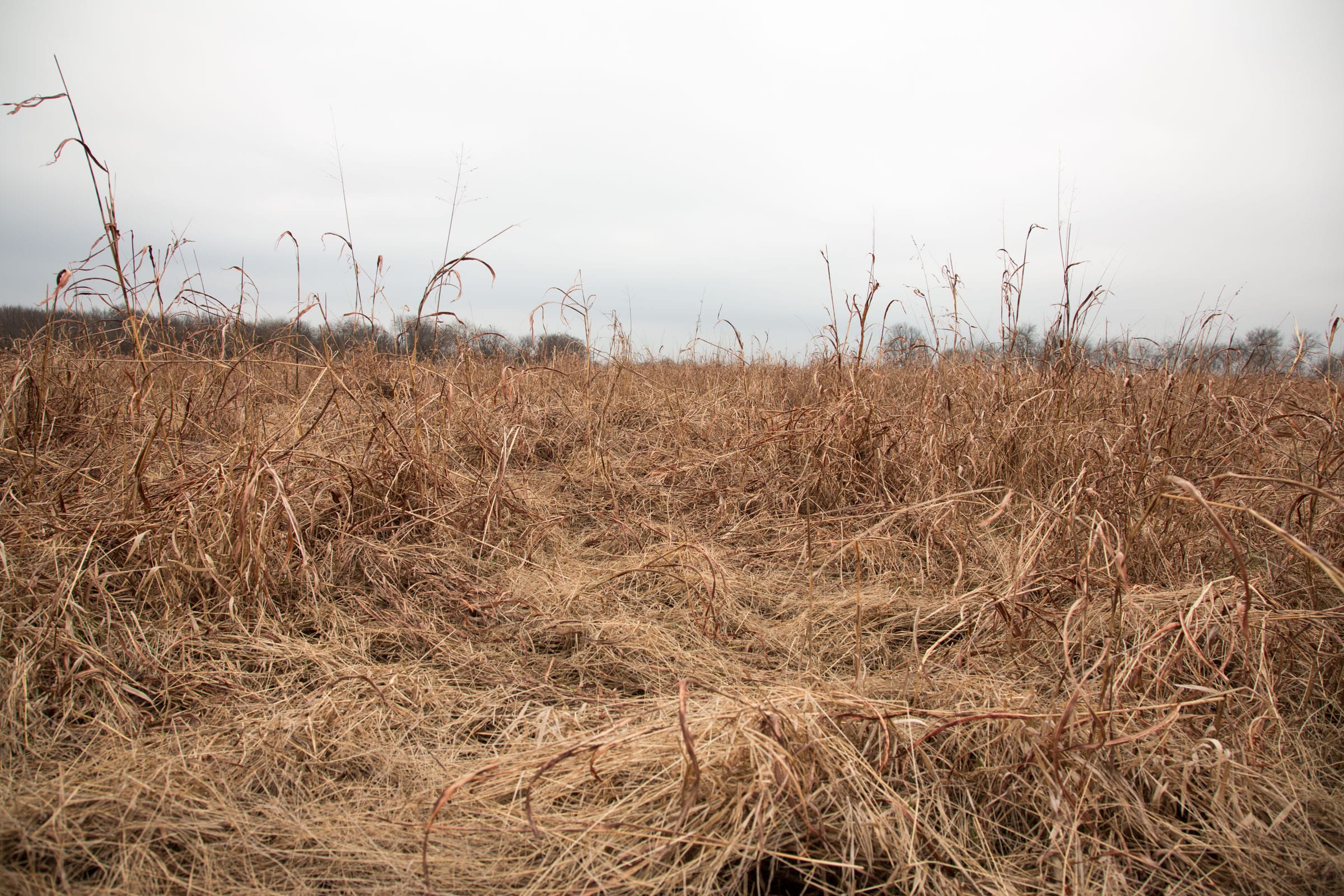 Canadian Plains Tract 25 photo 7
