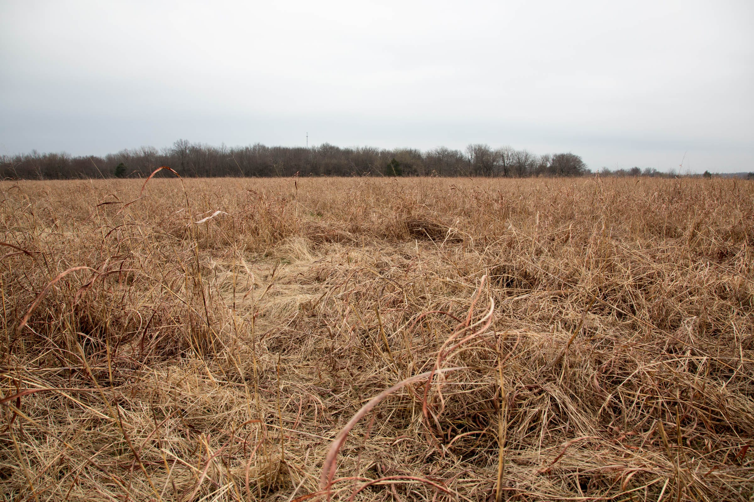 Canadian Plains Tract 25 photo 8