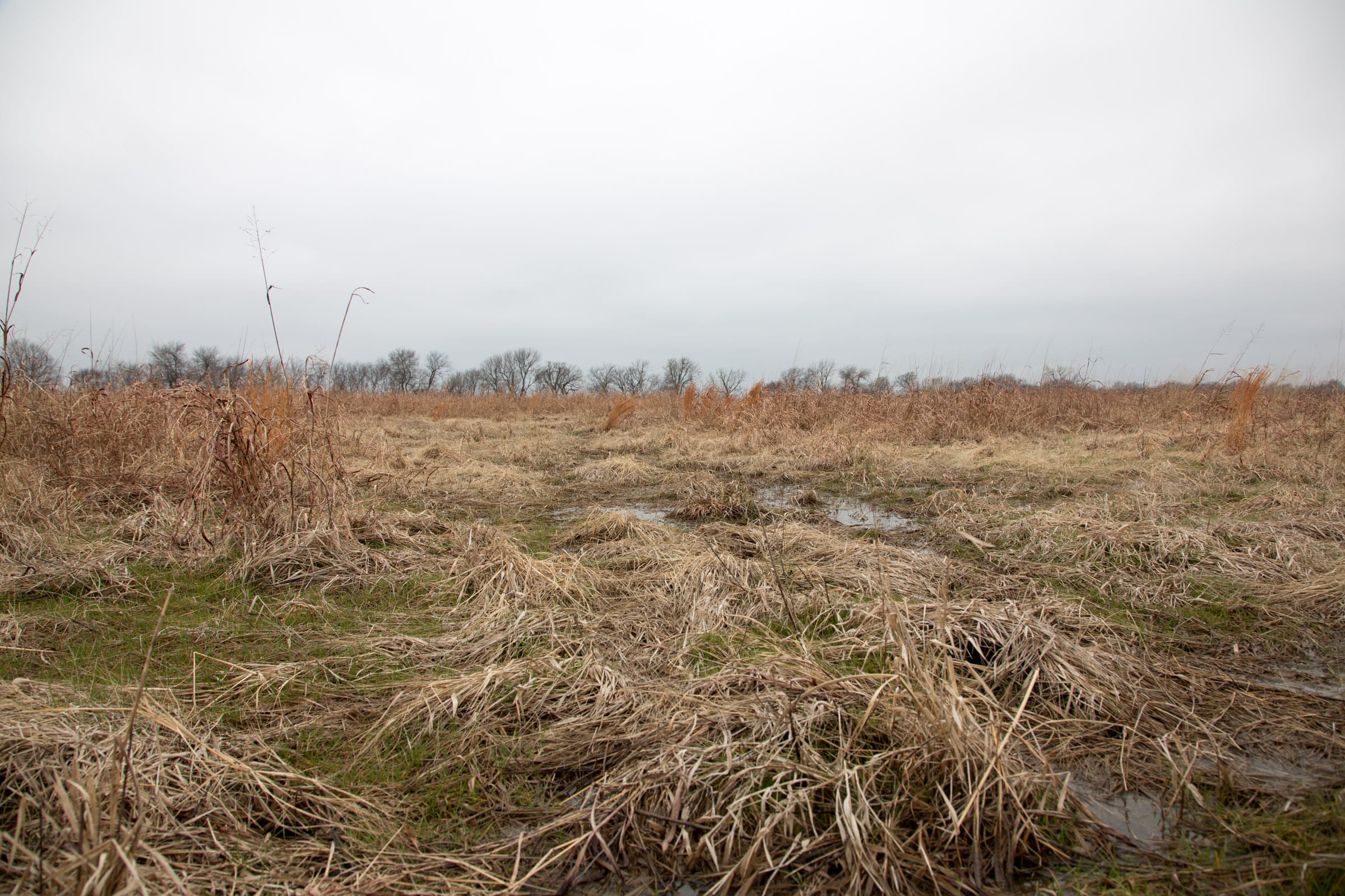 Canadian Plains Tract 25 photo 9