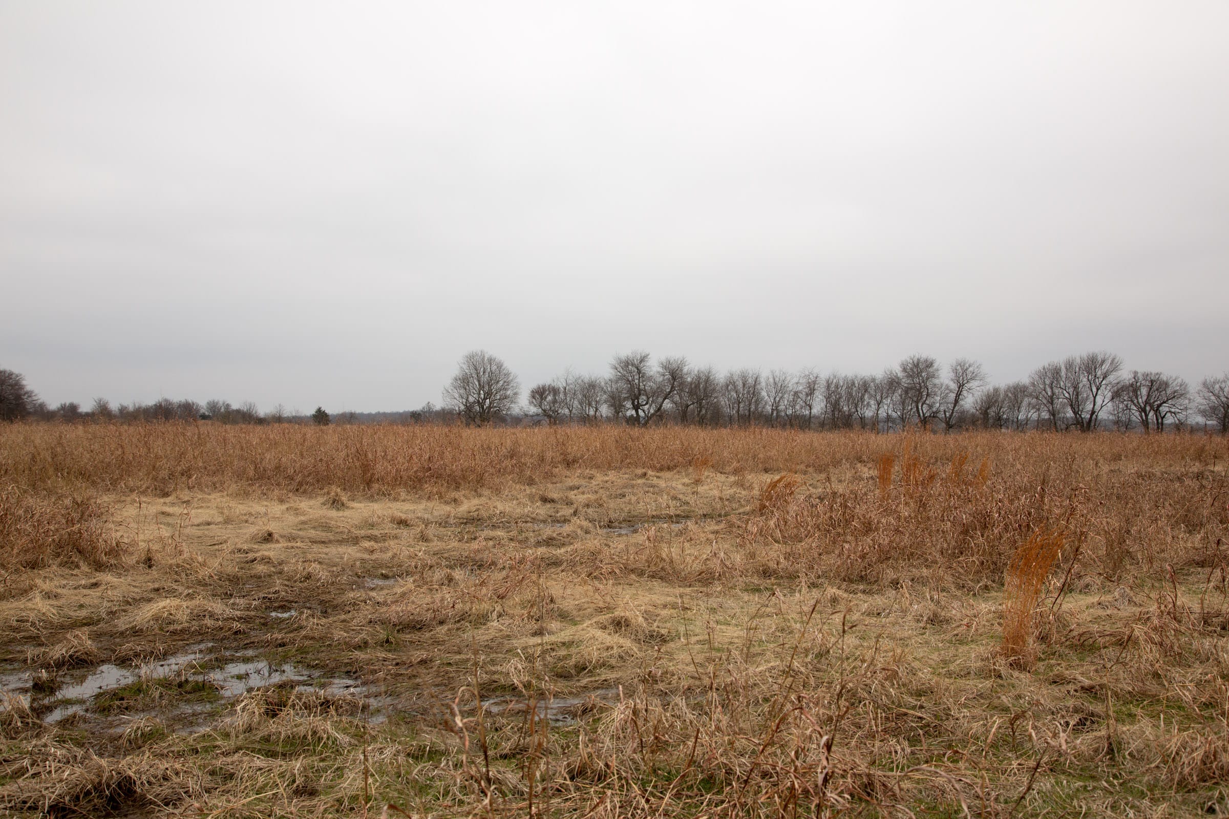Canadian Plains Tract 25 photo 10