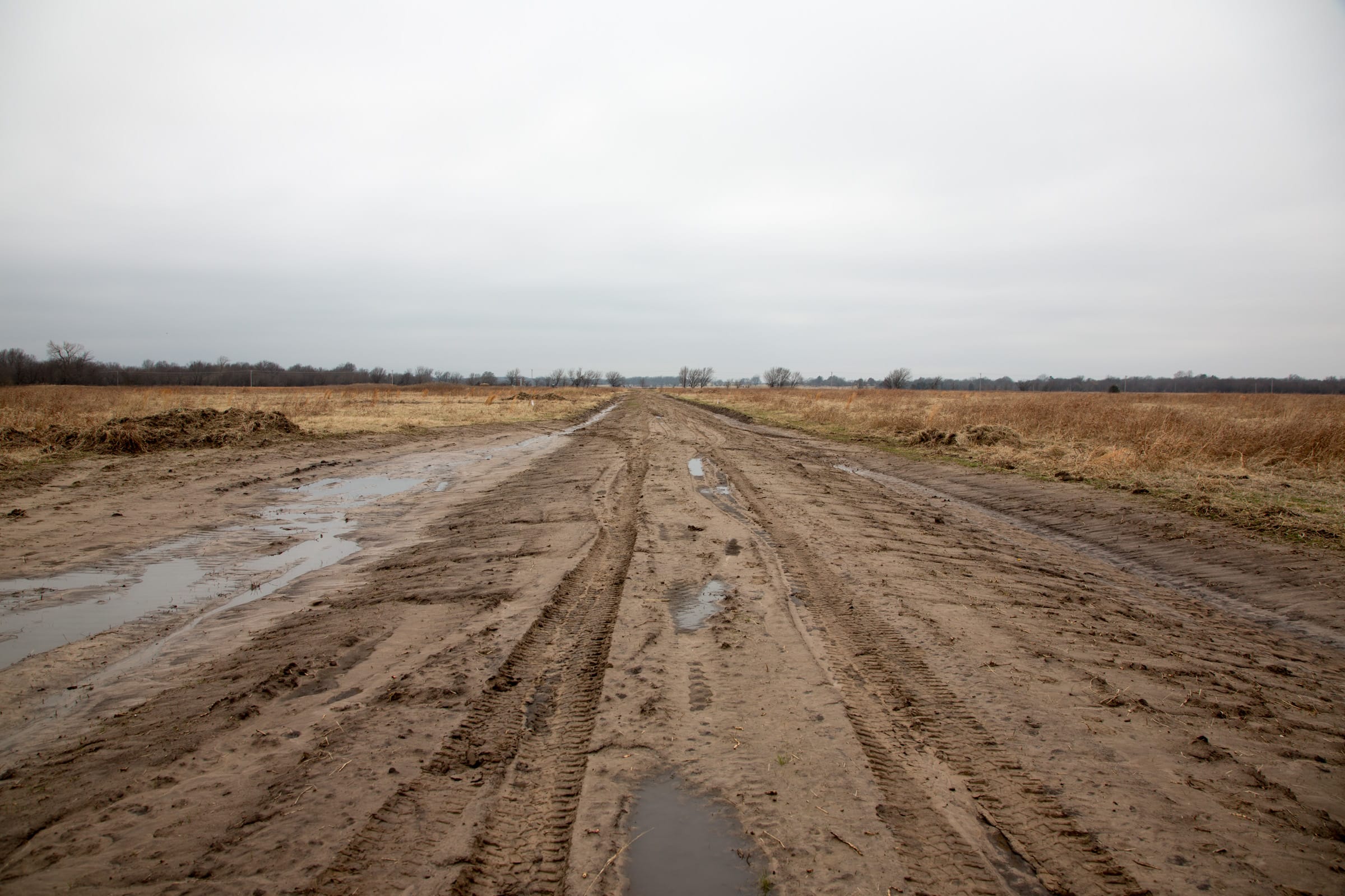 Canadian Plains Tract 25 photo 2