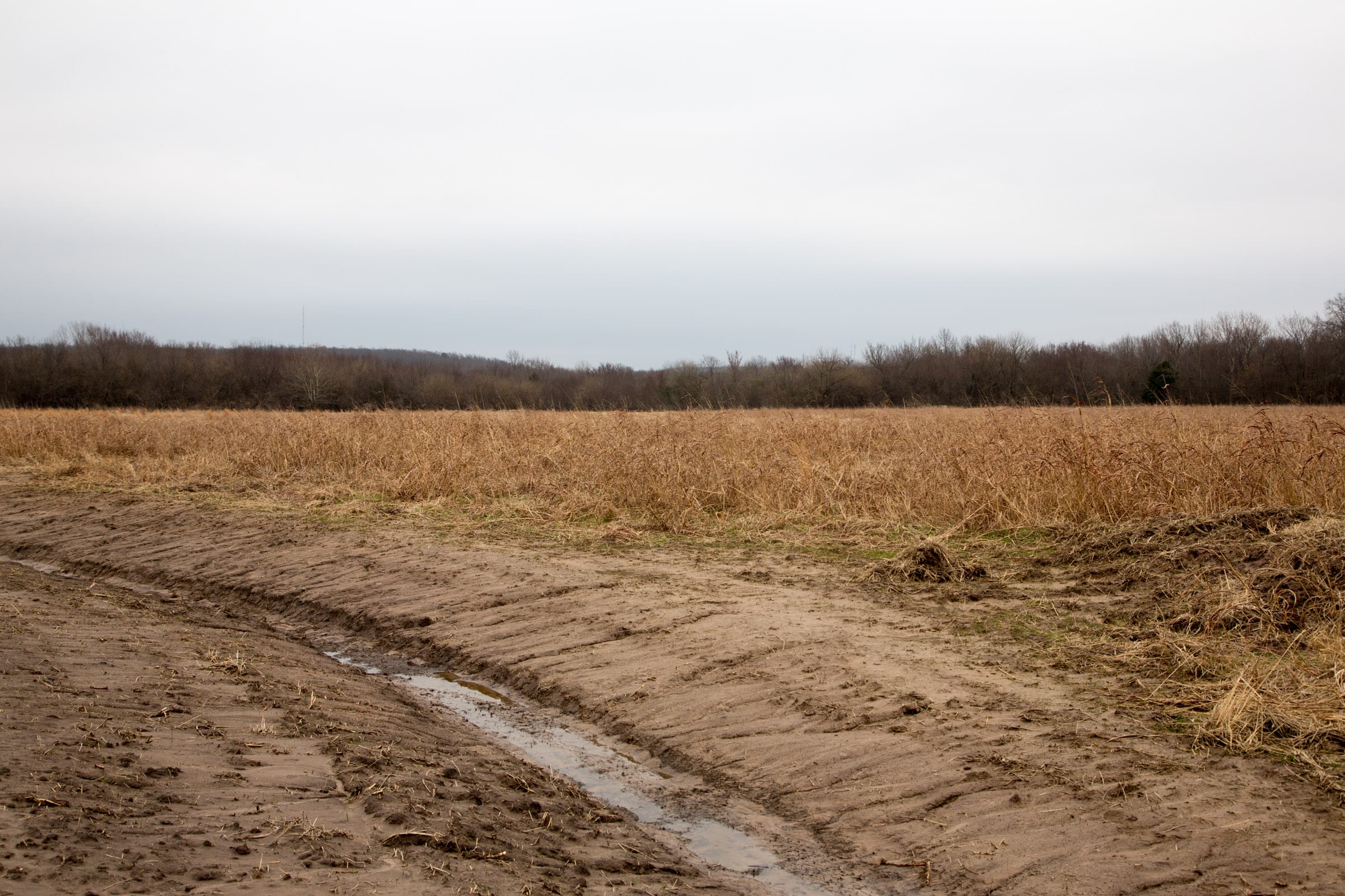 Canadian Plains Tract 25 photo 11