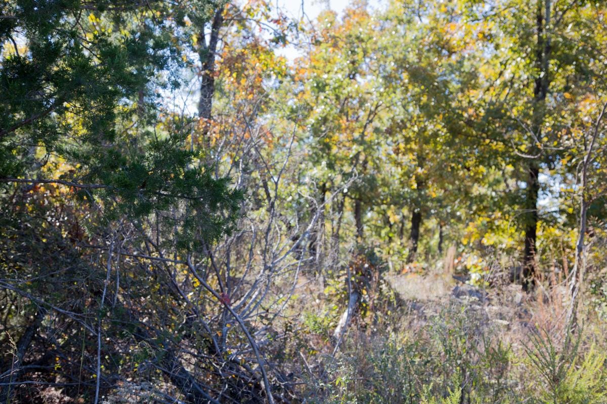 Stone Creek Phase I Tract 163 photo 6